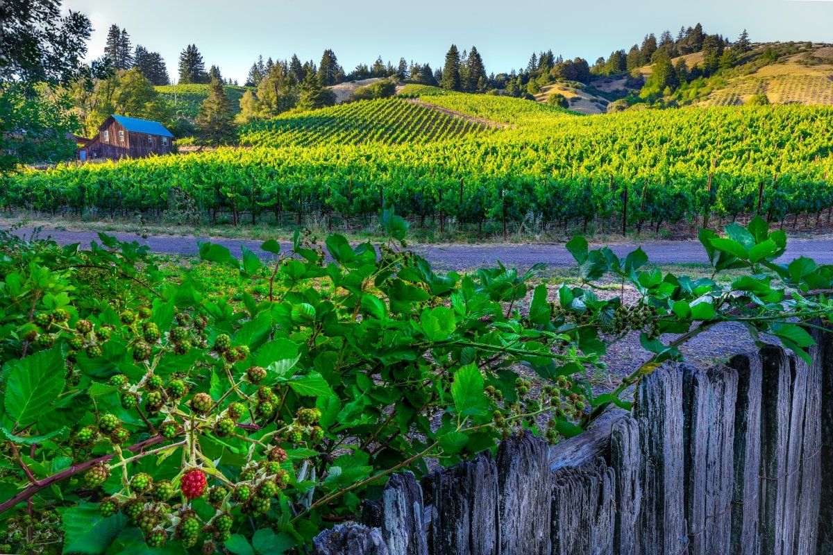 7P4A1343-HDR-Edit-Edit-2.jpg