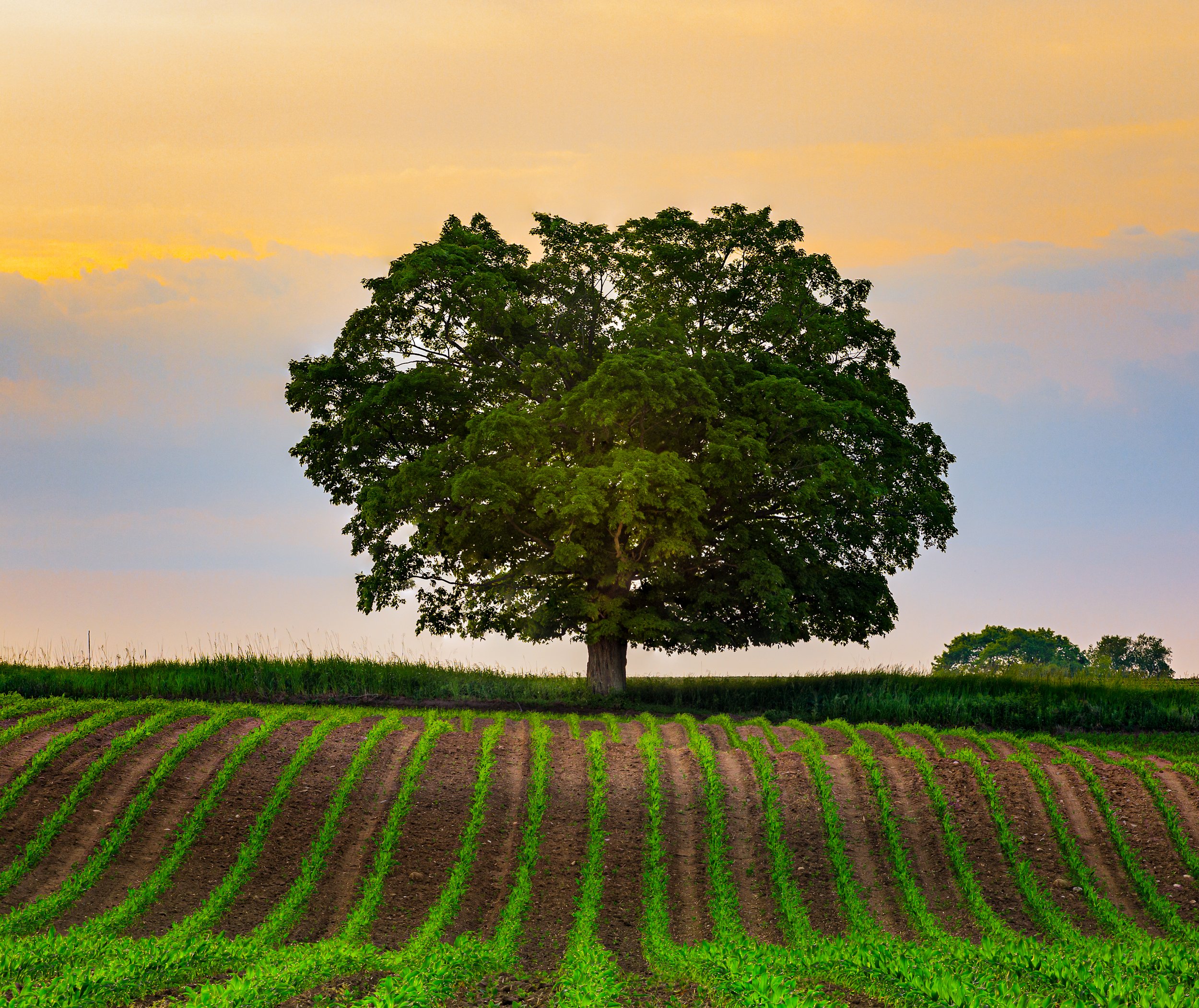 7P4A0423-Edit-Edit-2.jpg