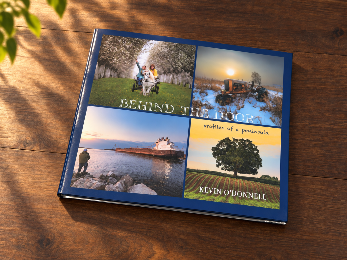 Signed softcover edition of Behind the Door by Kevin O’Donnell