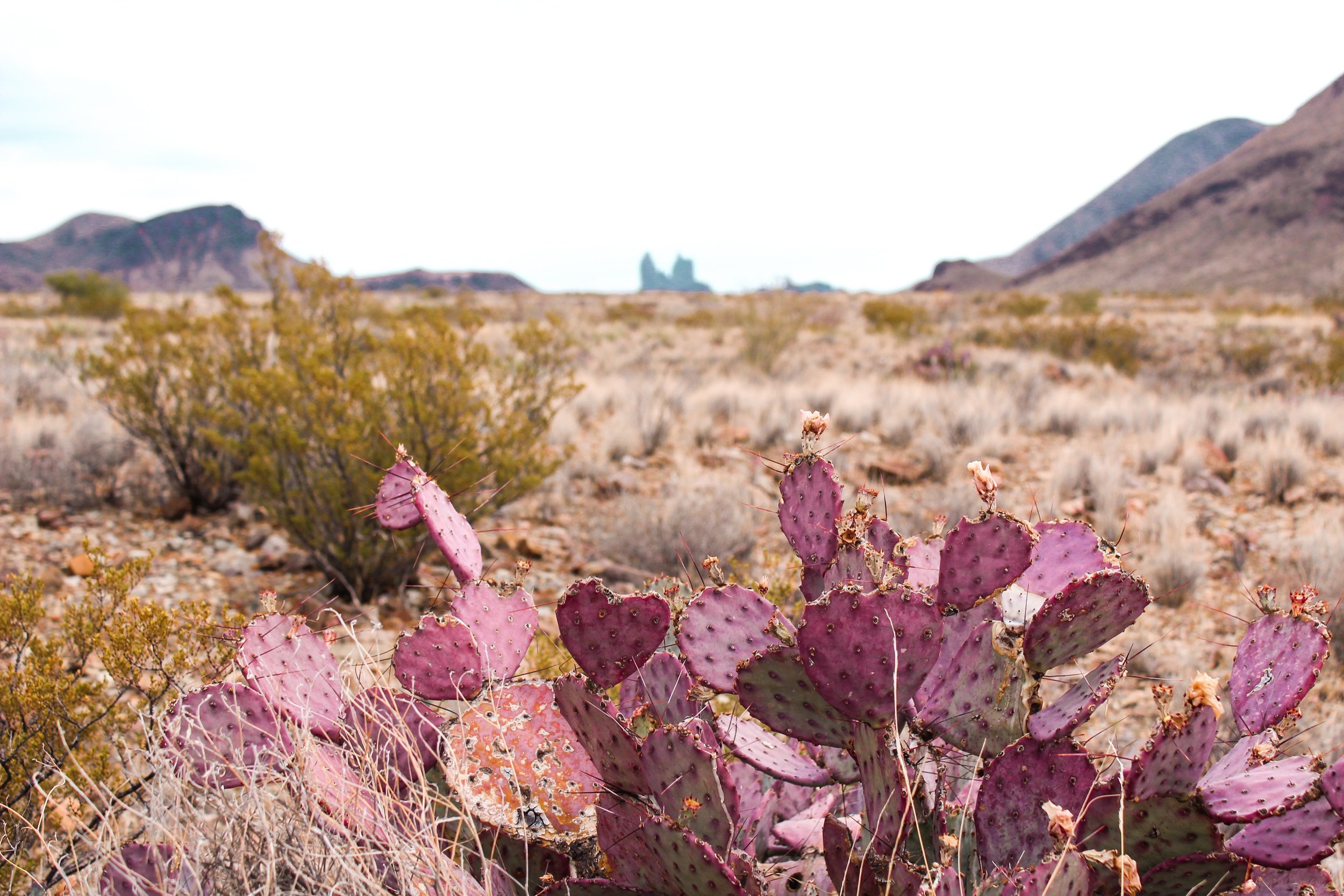 BIG BEND.jpeg