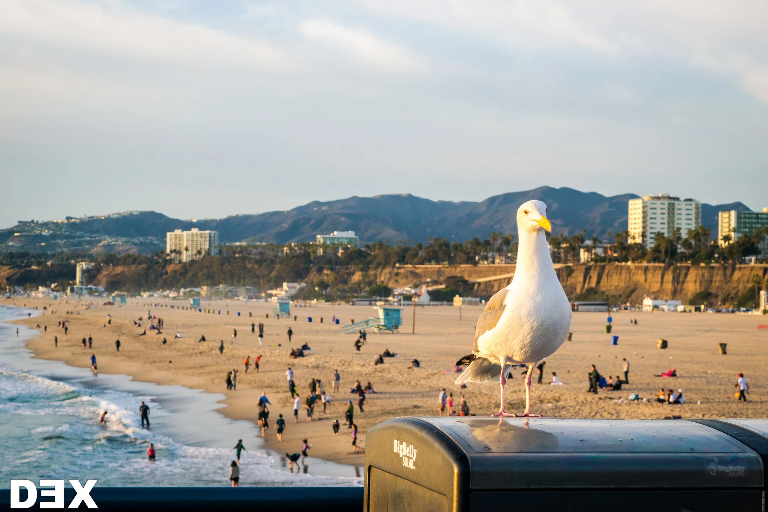 Santa Monica Pier, CA