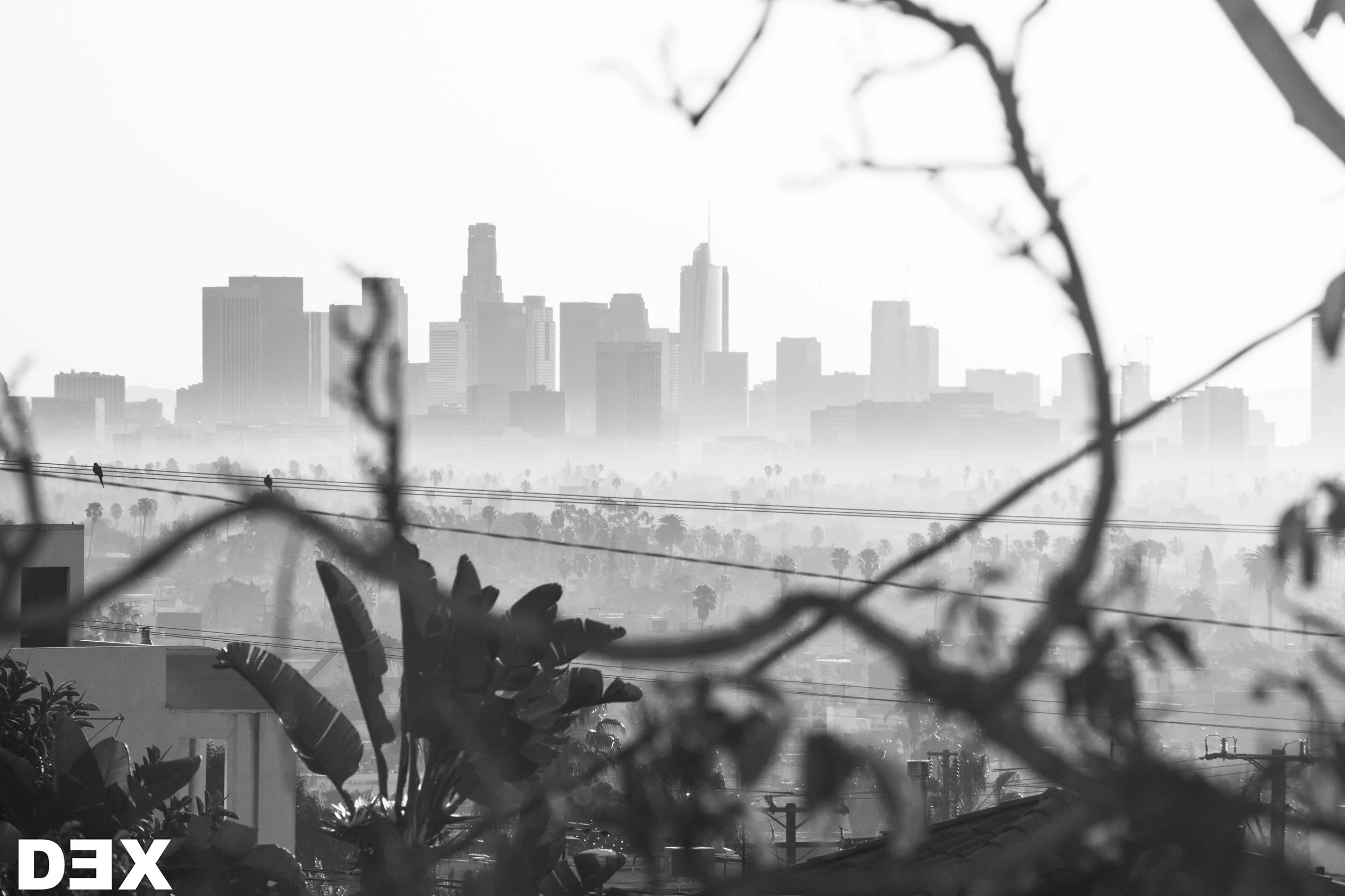 Los Angeles, CA