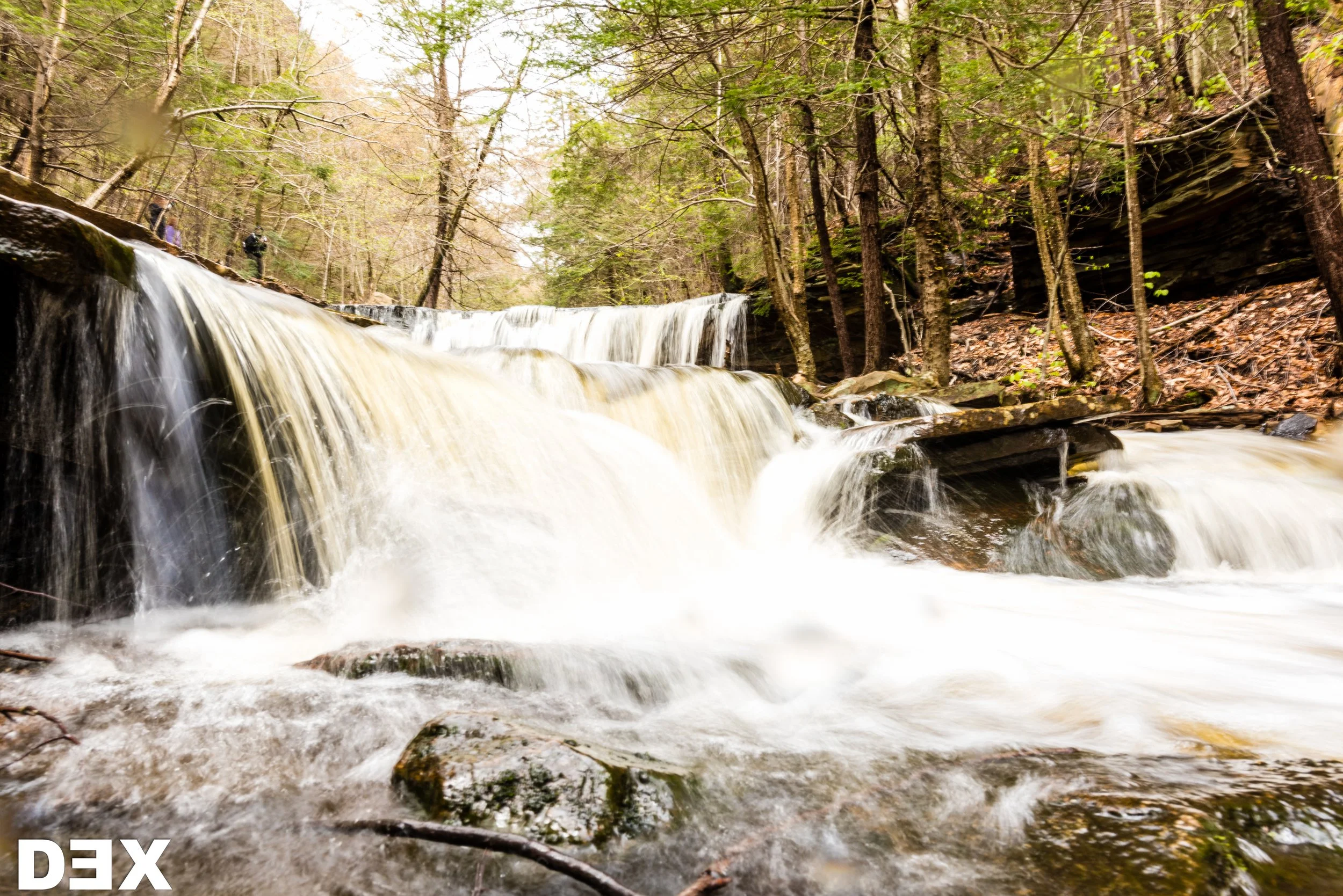 Ricketts Glen State Park, PA