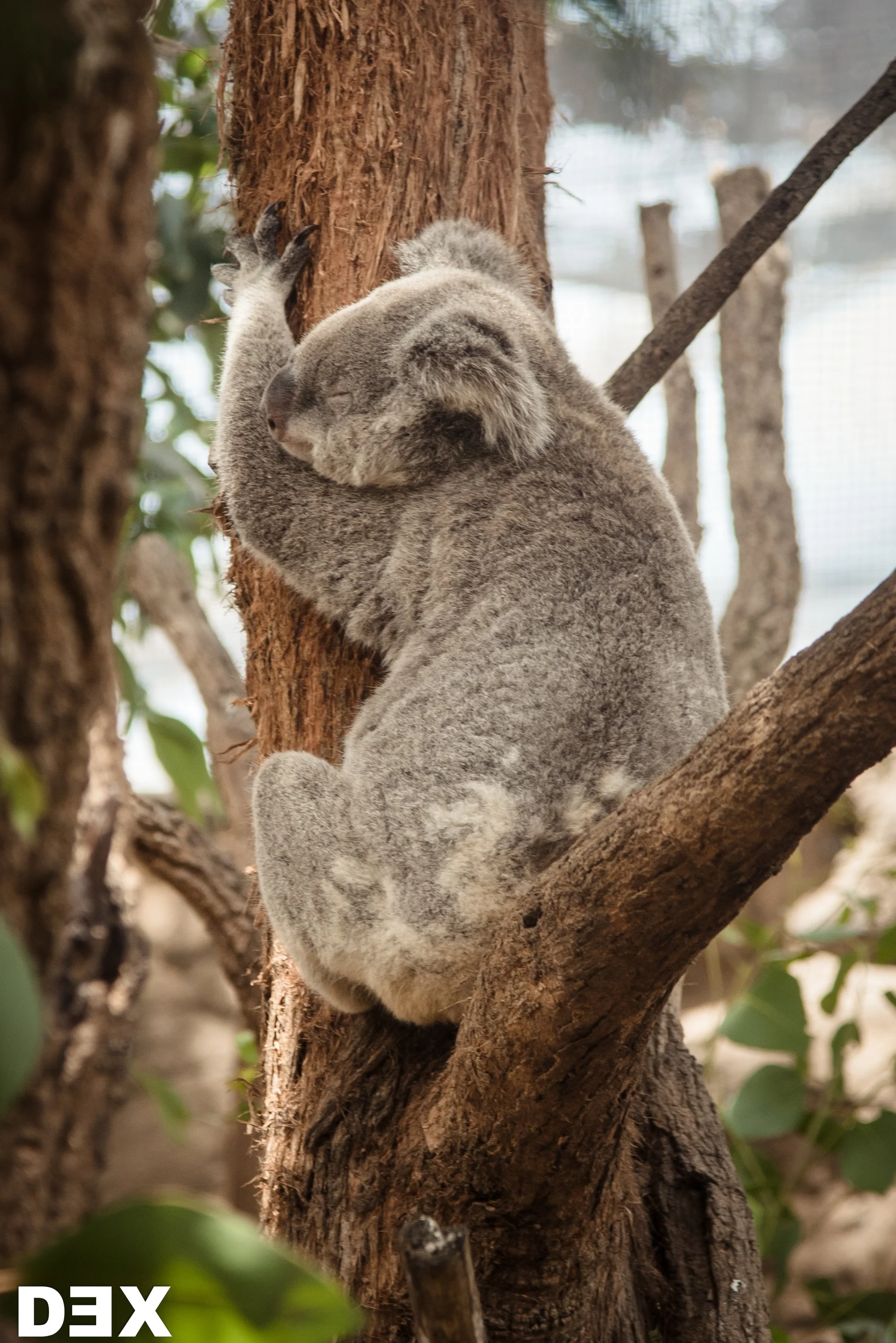 Sydney, Australia