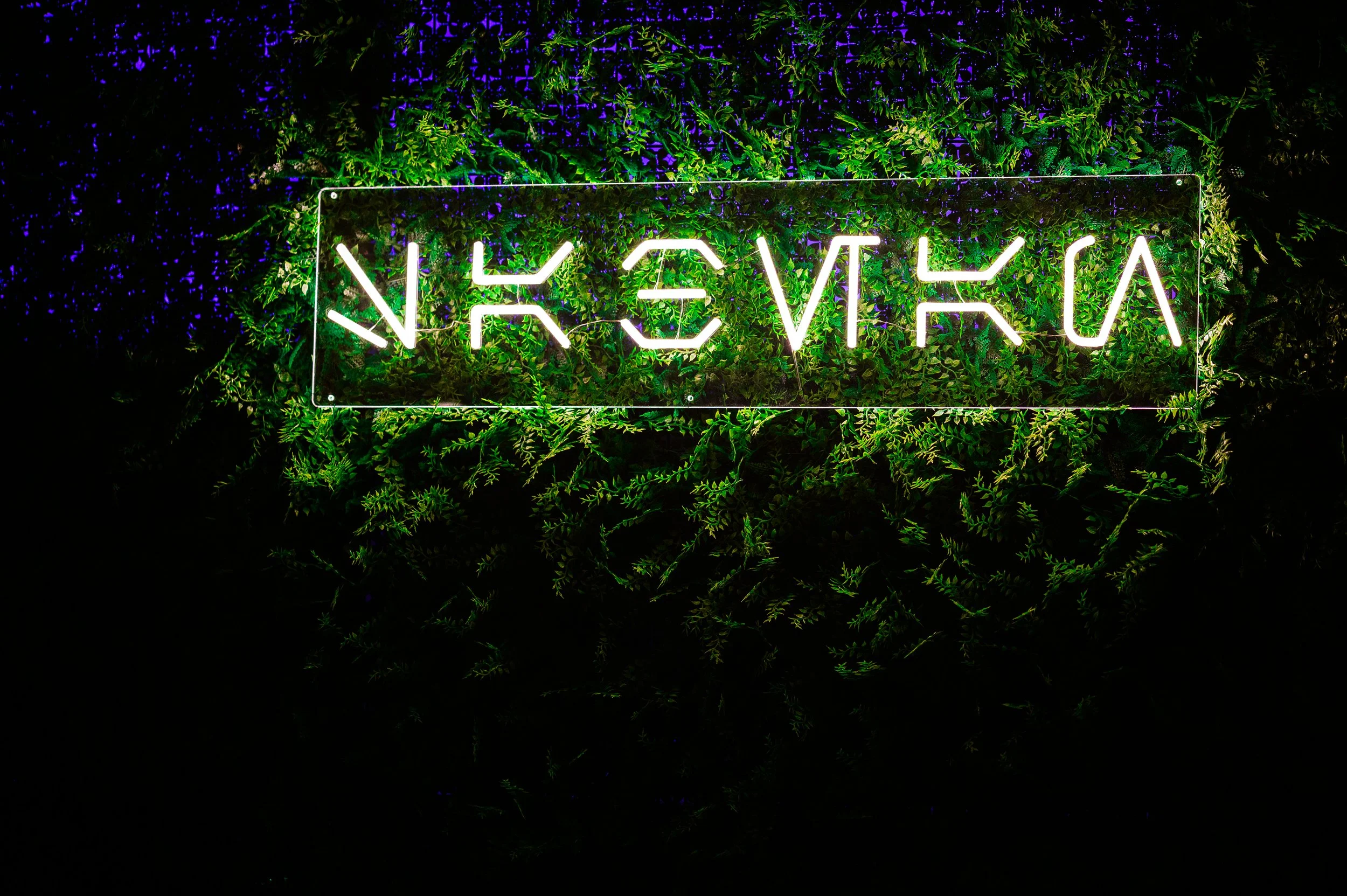DSC_8777-Edit.jpg