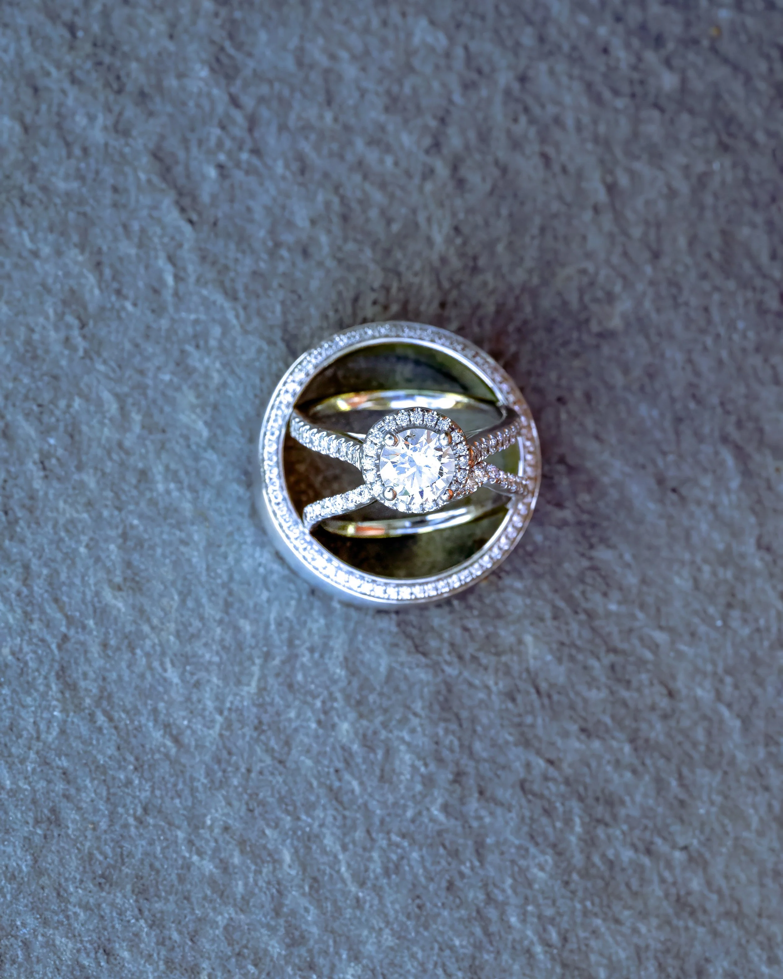 DSC_9372-Edit.jpg