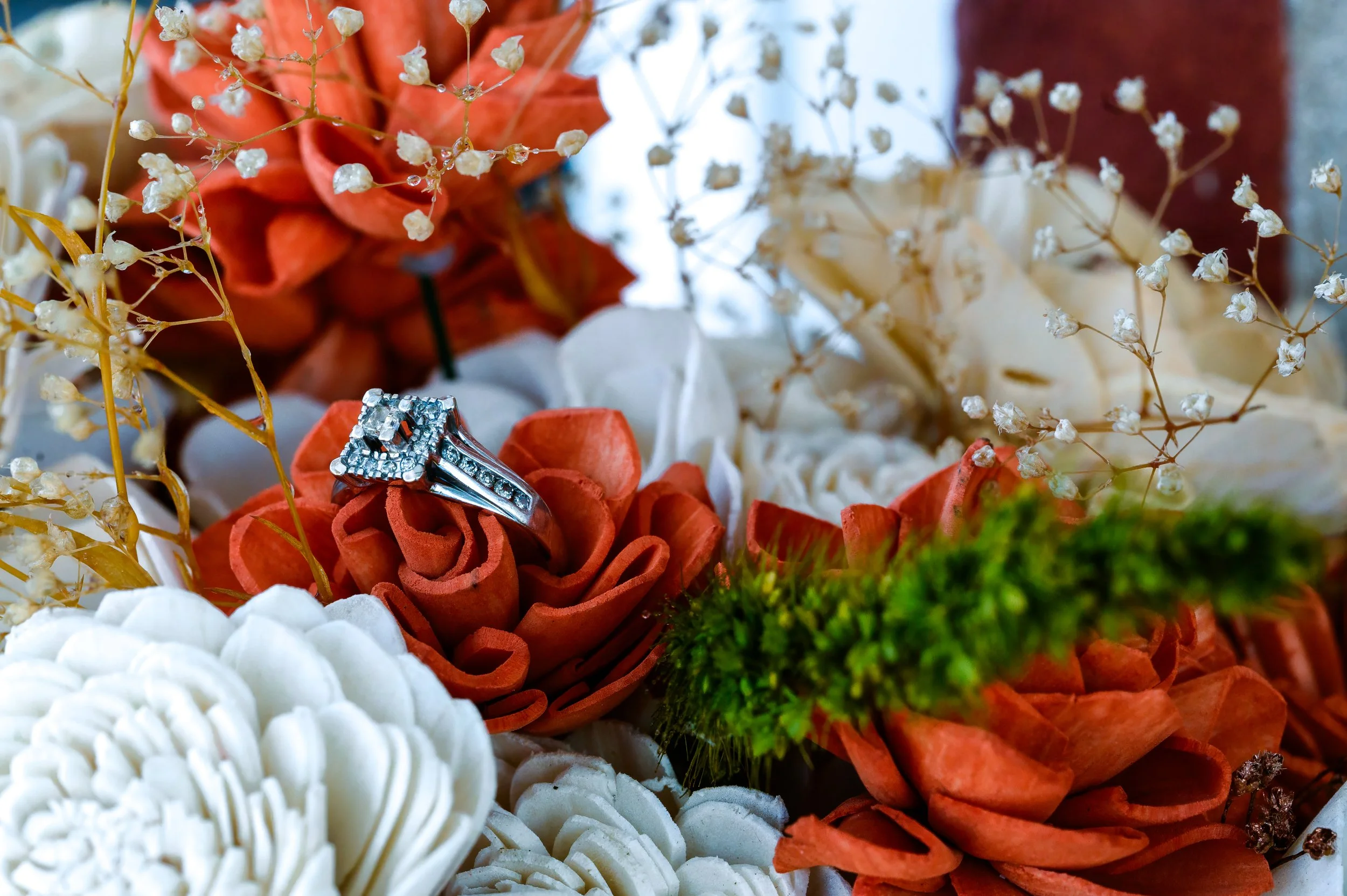 DSC_1992-Edit.jpg