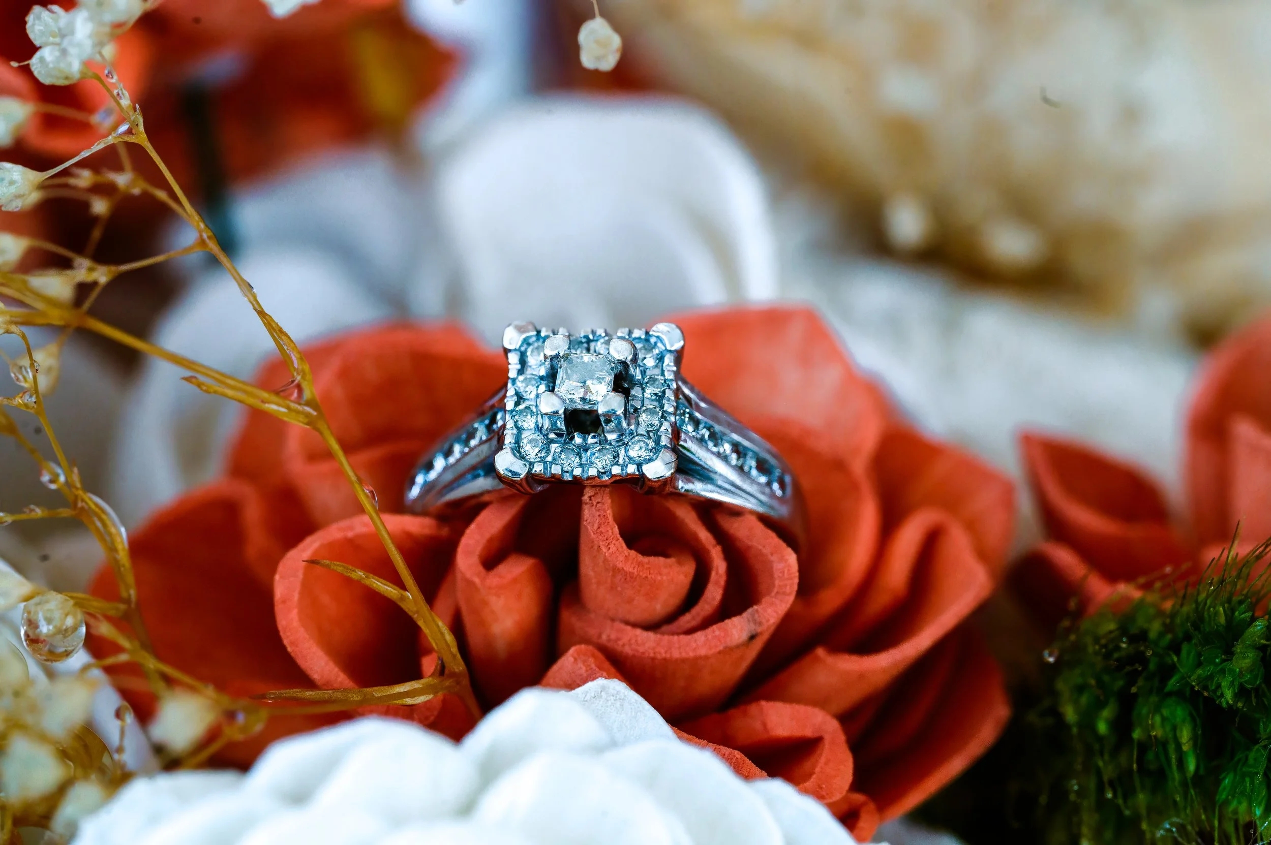 DSC_1987-Edit.jpg