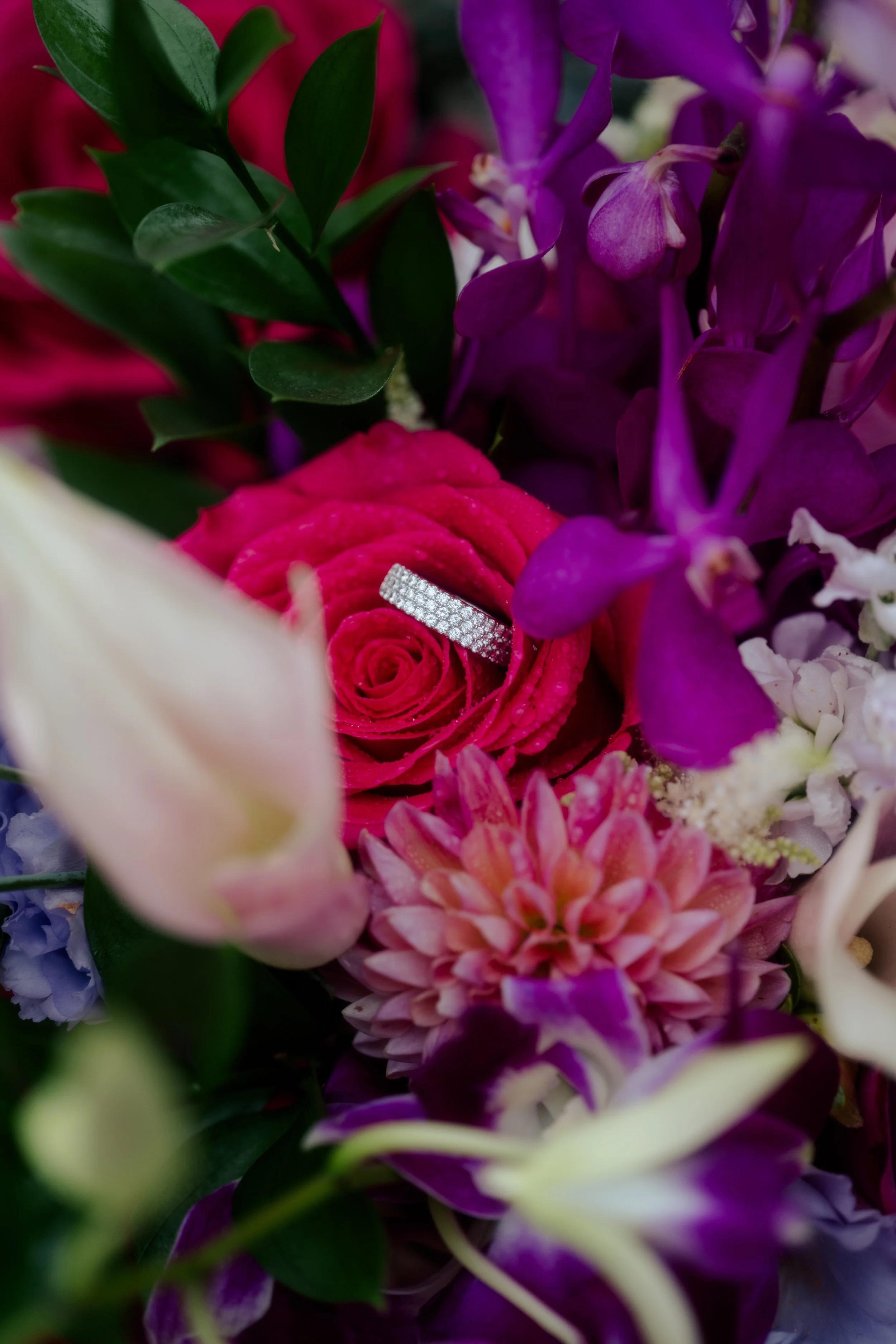 DSC_7176.jpg
