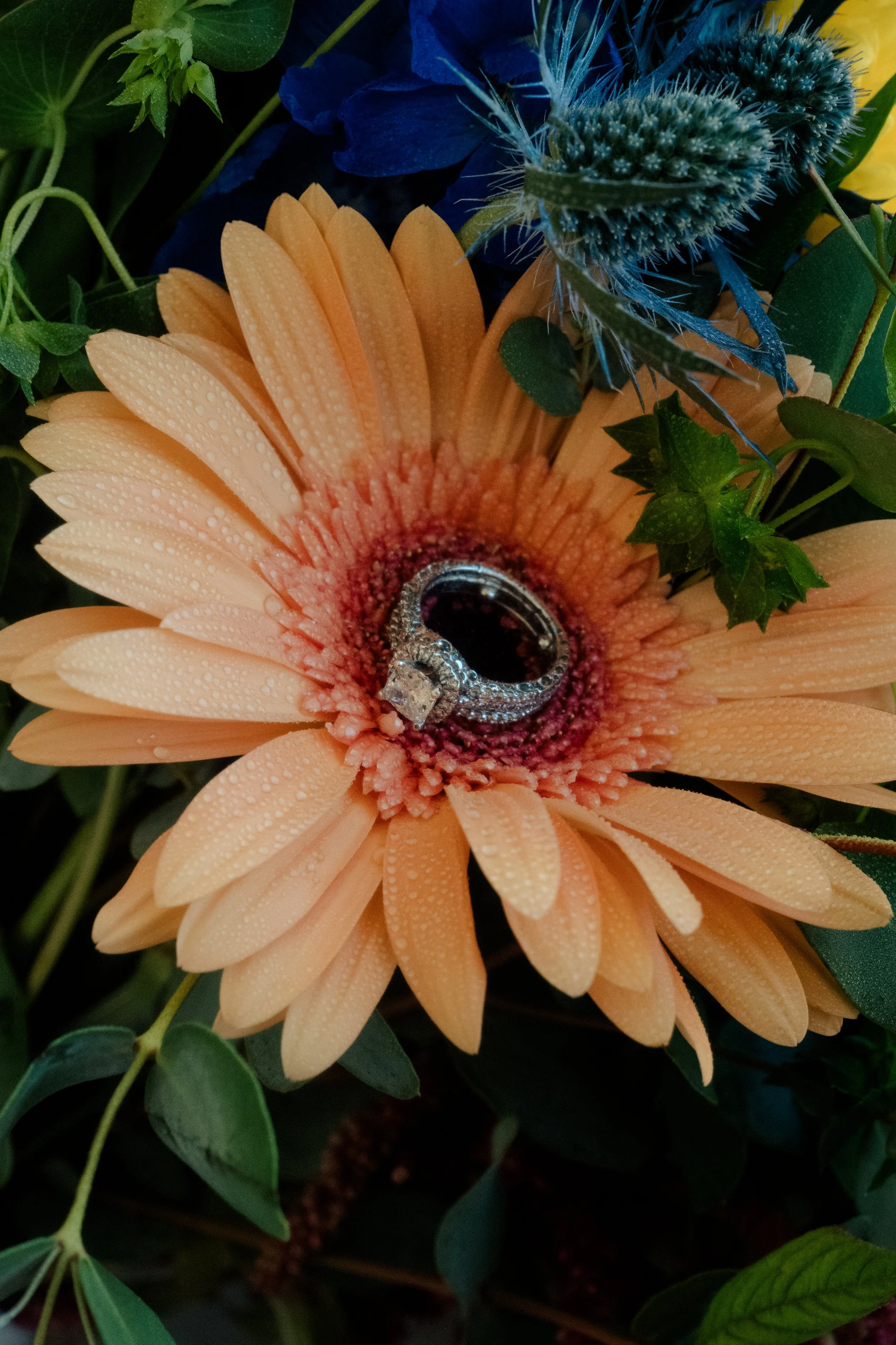 DSC_7214.jpg