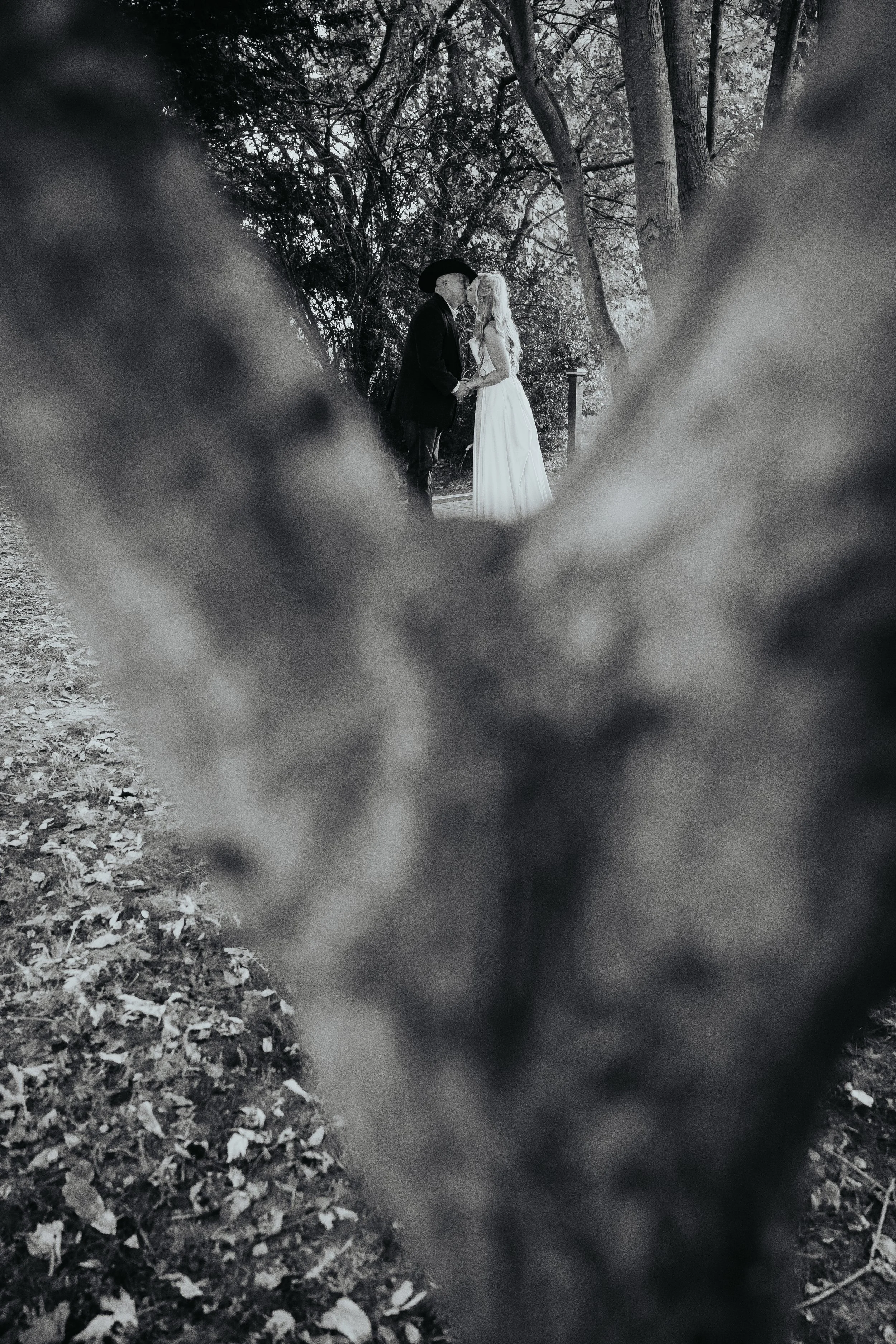 DSC_1372-1.jpg