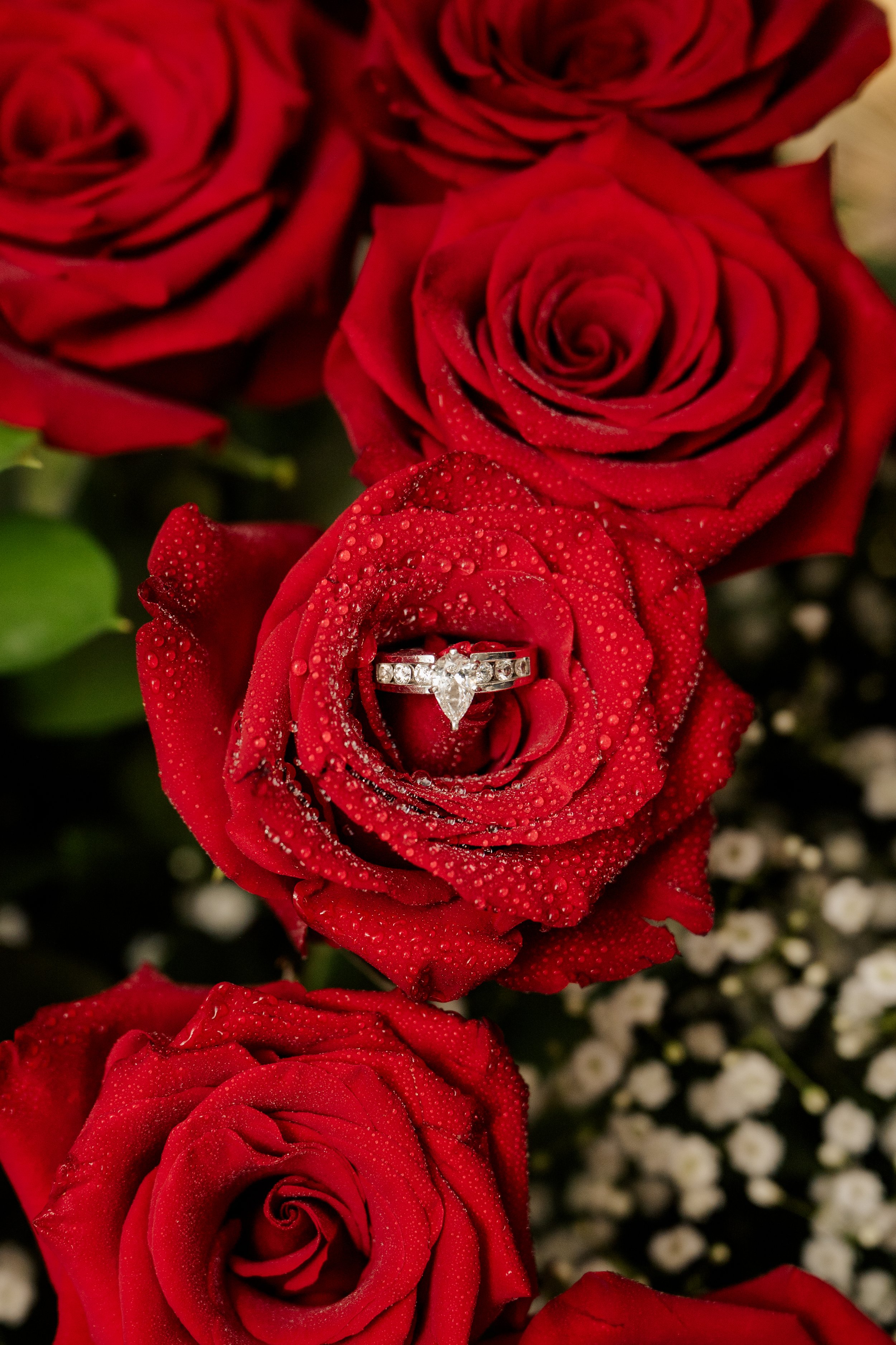 DSC_9408.jpg