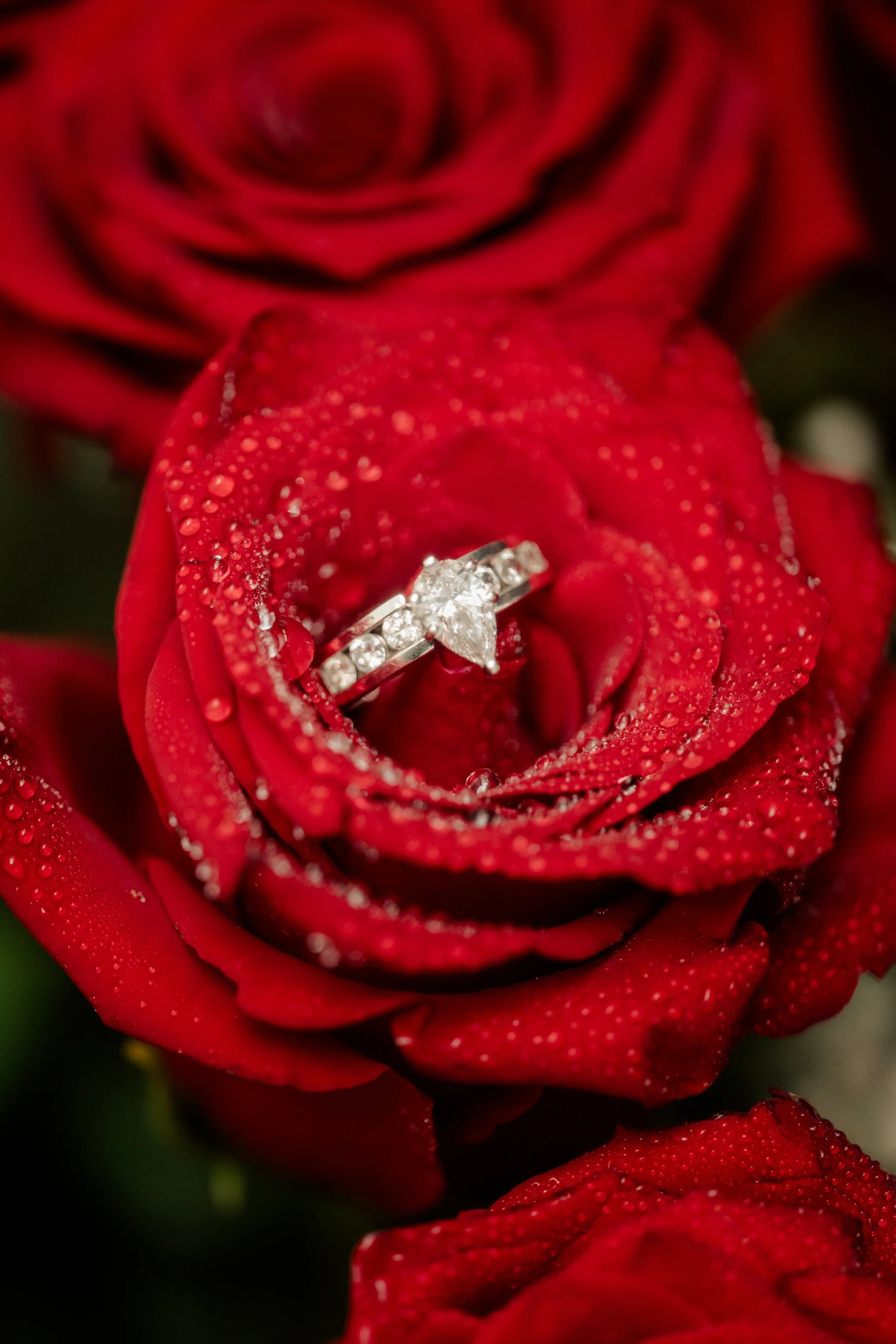 DSC_9443.jpg