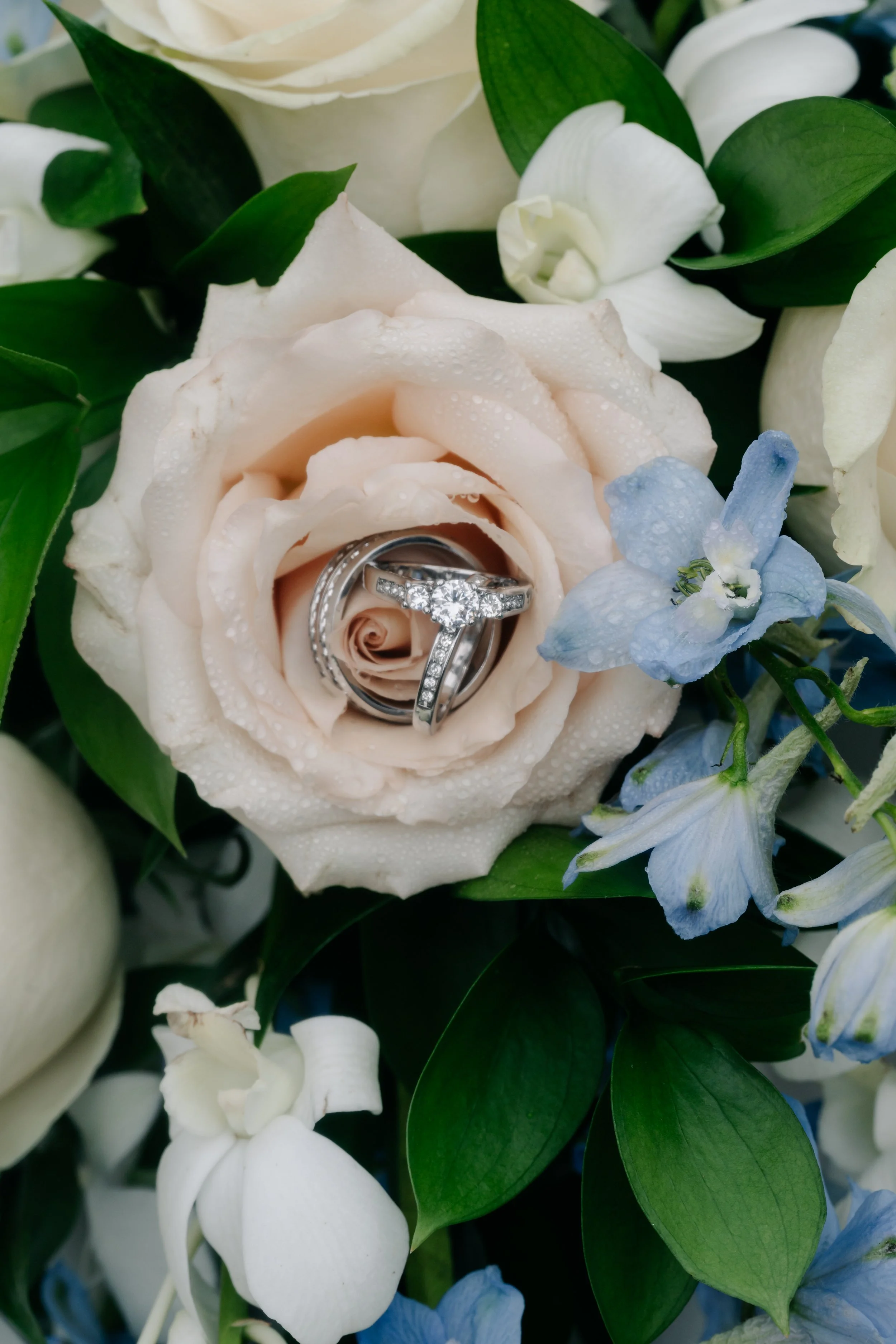 DSC_2001.jpg