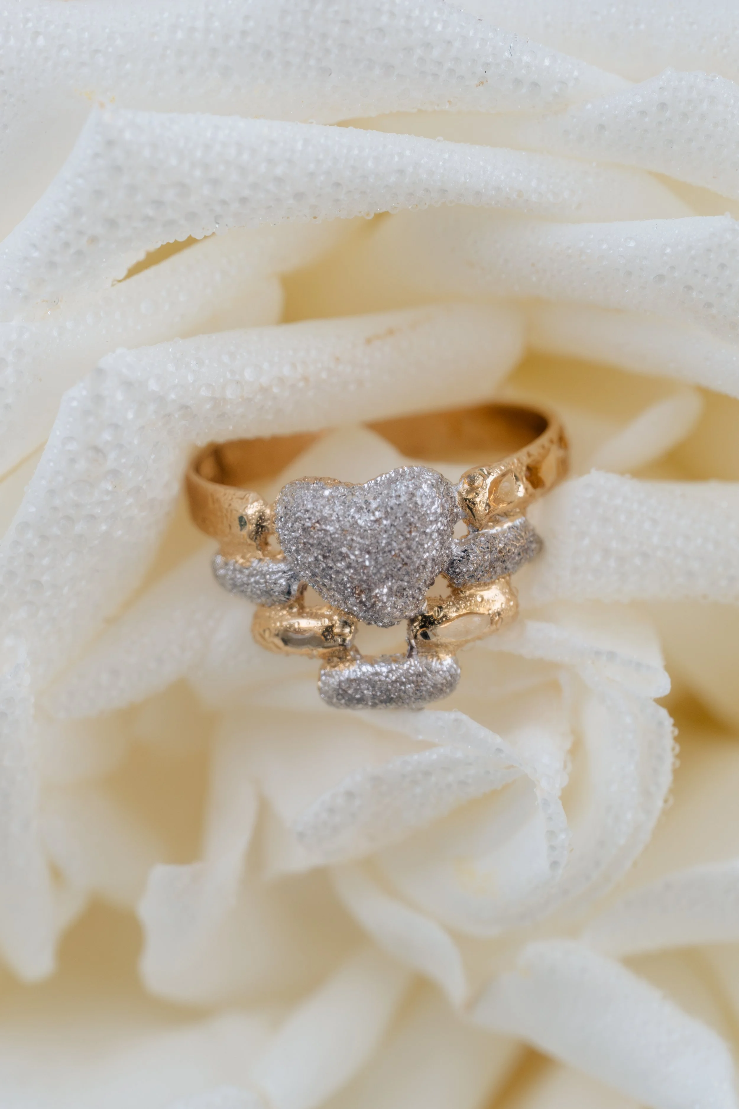 DSC_5025.jpg