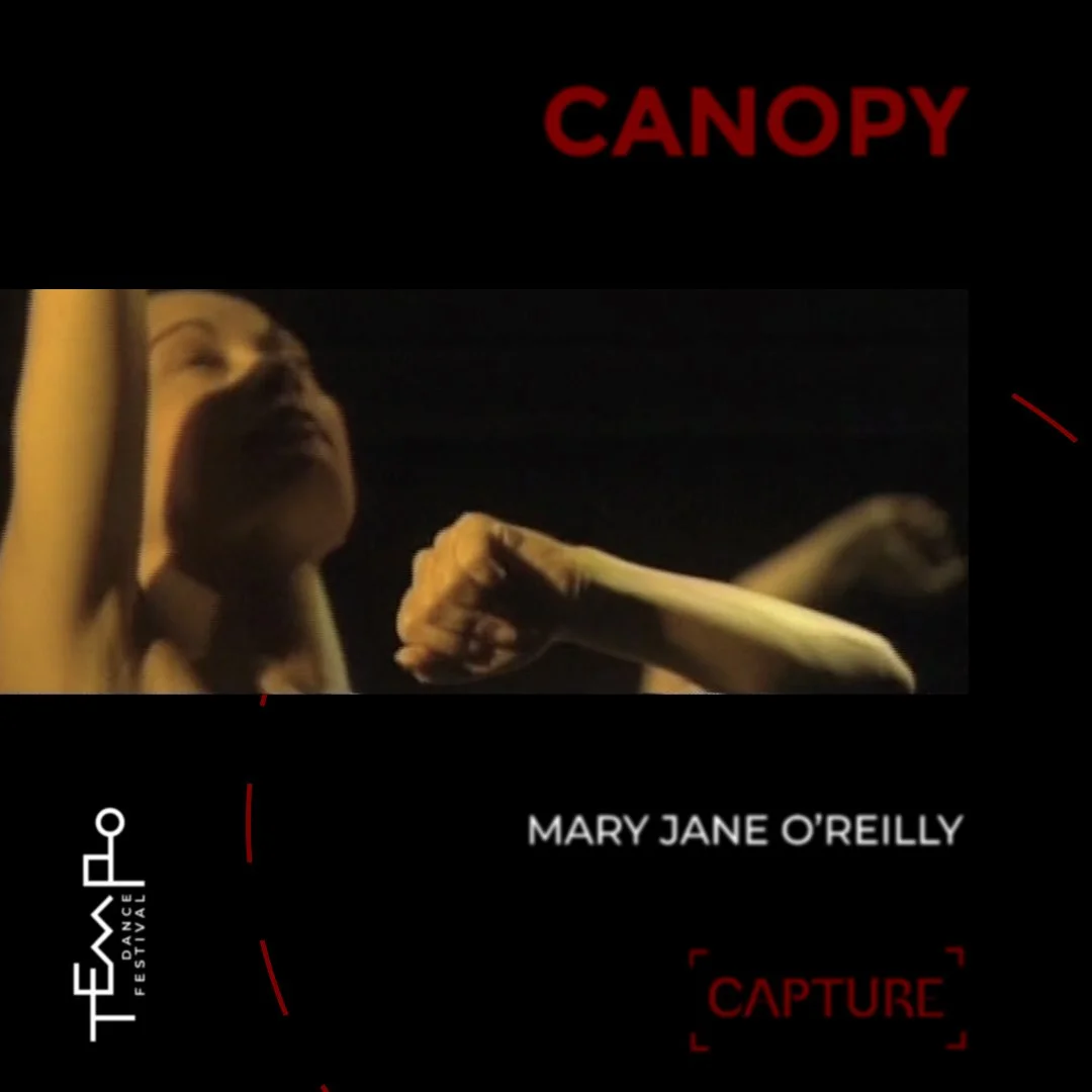‘Canopy’ by Mary Jane O’Reilly