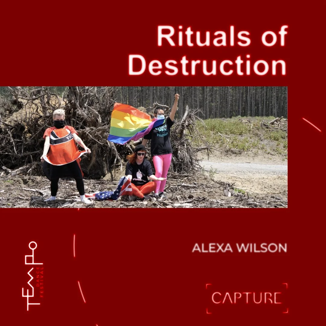 'Rituals of Destruction' by Alexa Wilson