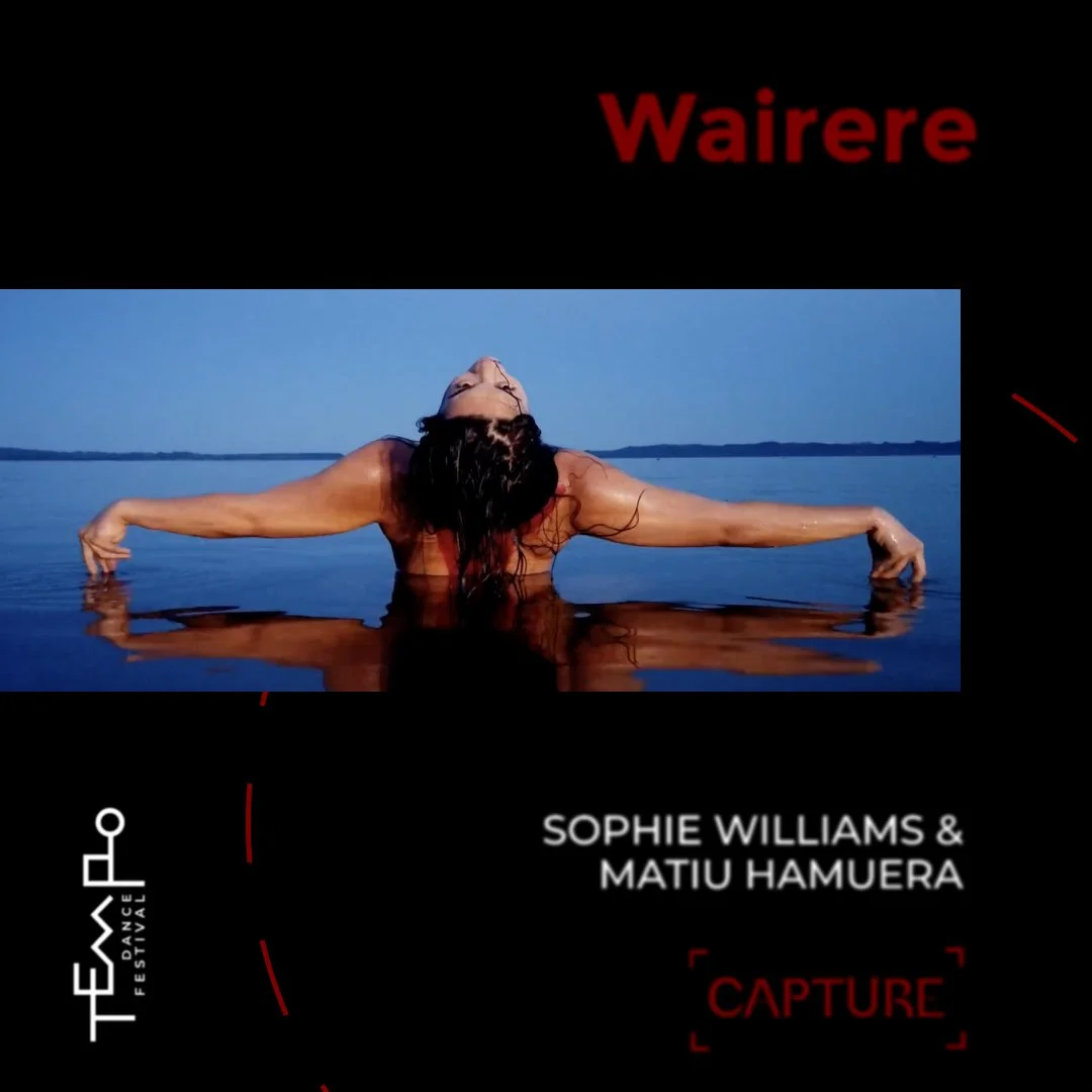 ‘Waihere’ by Sophie Williams and Matiu Hamuera