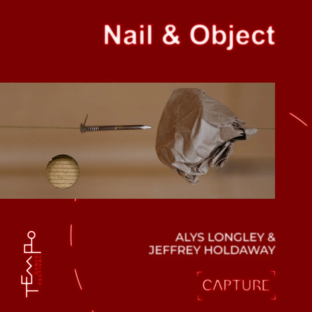 ‘Nail &amp; Object’ by Alys Longley &amp; Jeffrey Holdaway