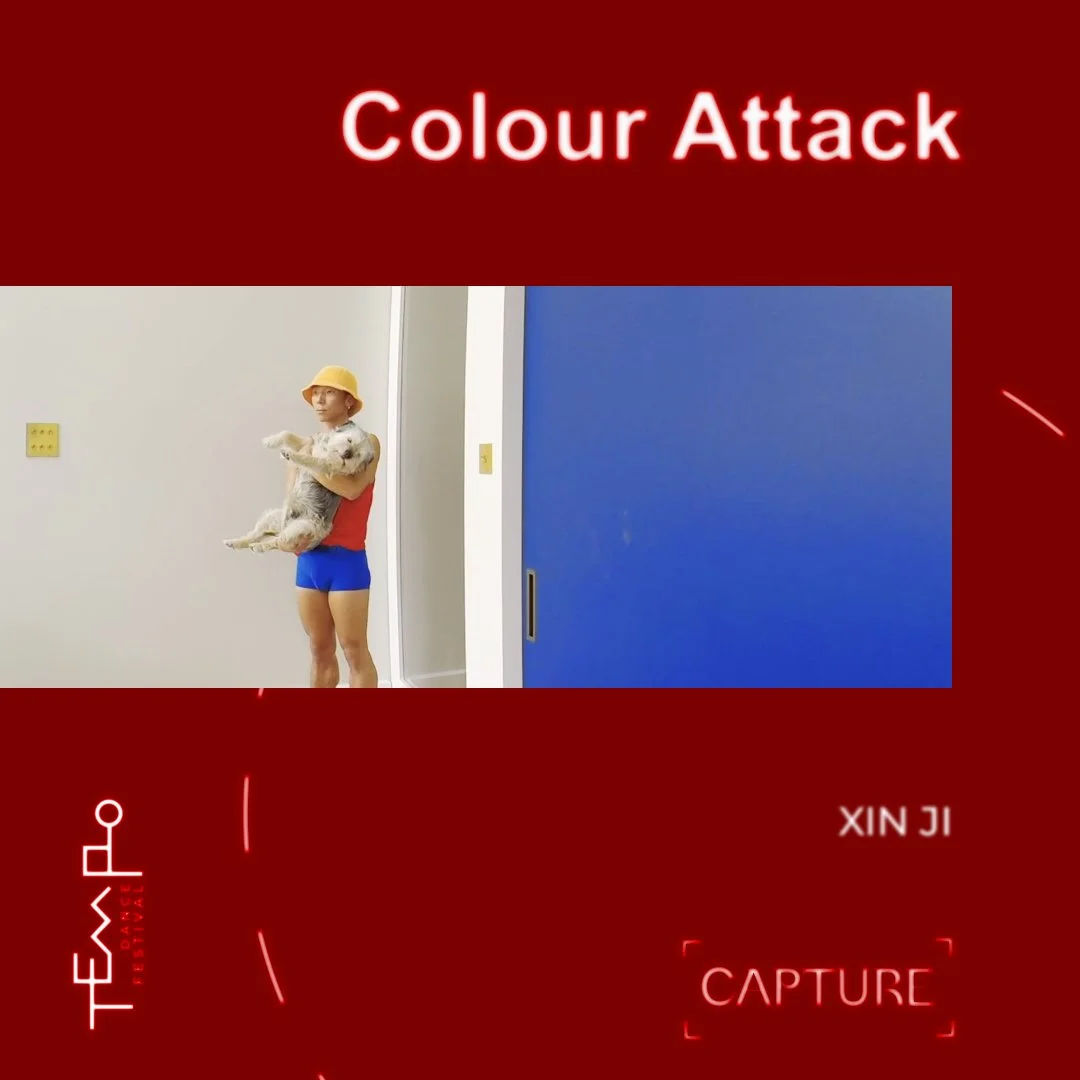 ‘Colour Attack’ by Xin Ji