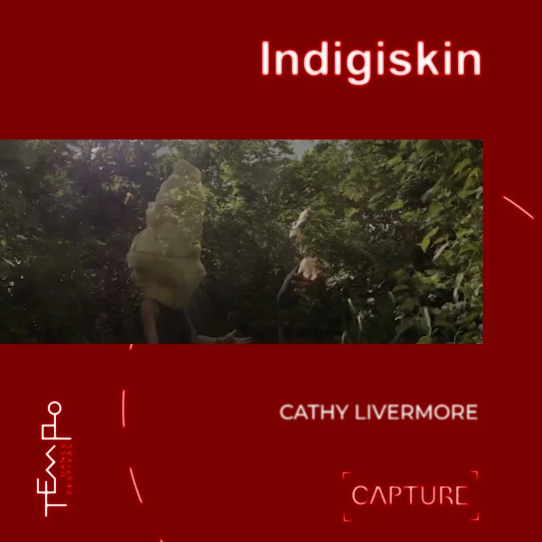 ‘Indigiskin’ by Cathy Livermore