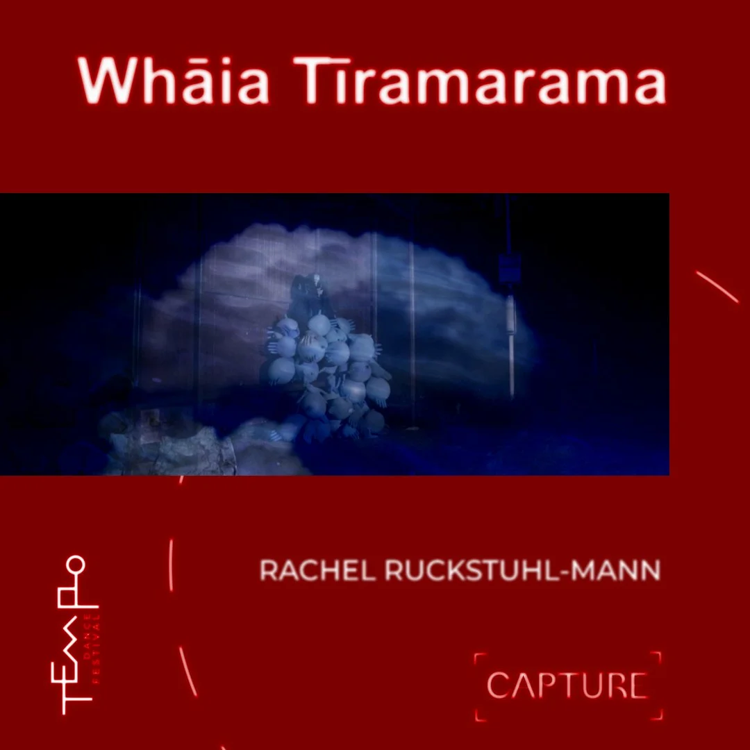 ‘Whāia Tīramarama’ by Rachel Ruckstuhl-Mann