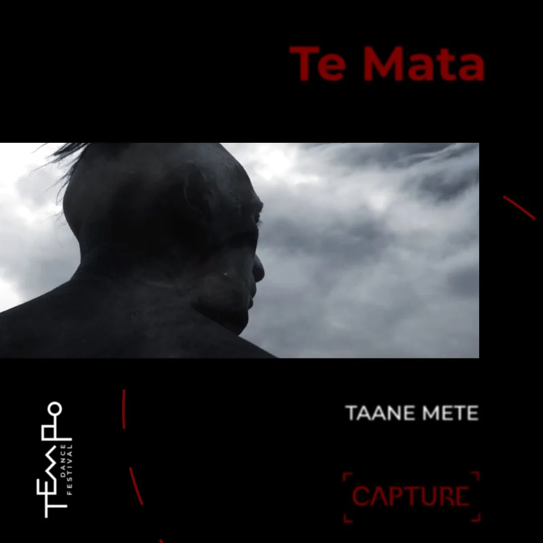 ‘Te Mata’ by Taane Mete