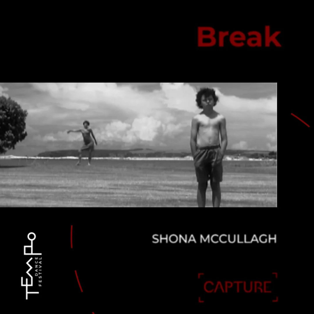 ‘Break’ by Shona McCullagh
