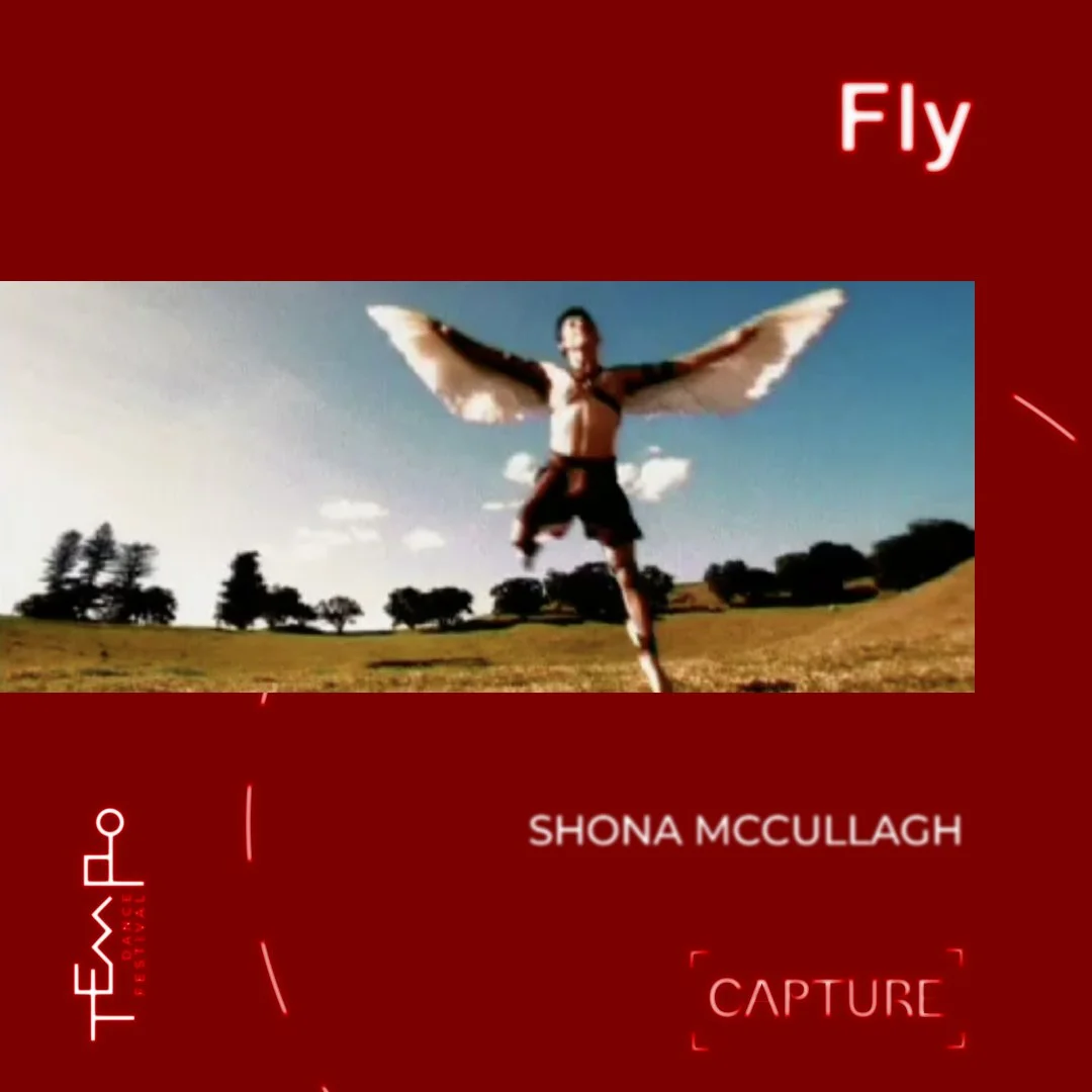 ‘Fly’ by Shona McCullagh