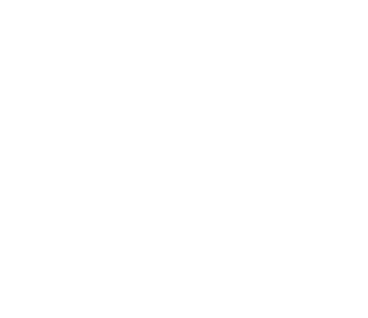 Tempo Dance Festival