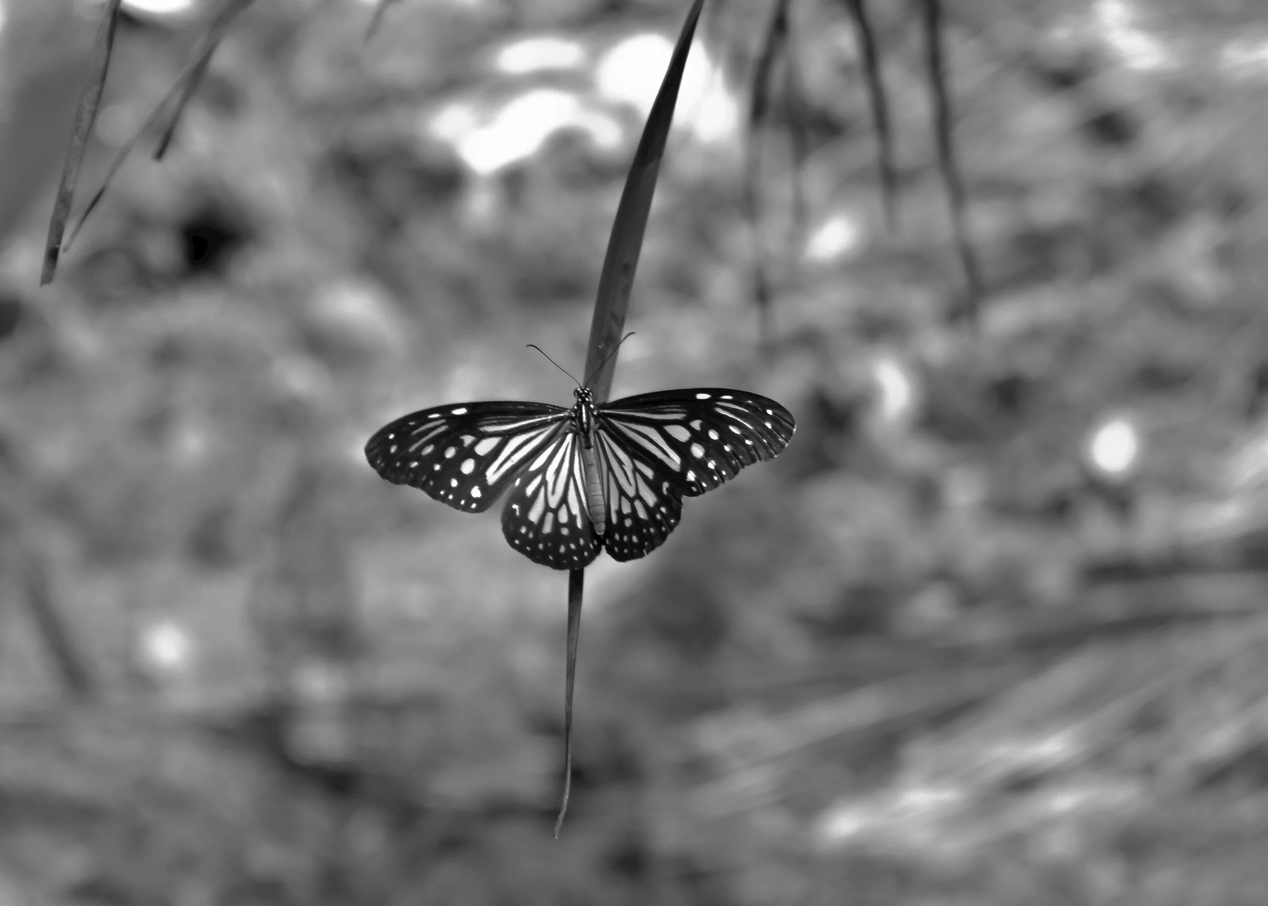 unsplash-image-EWNvrKOw6DA.jpg