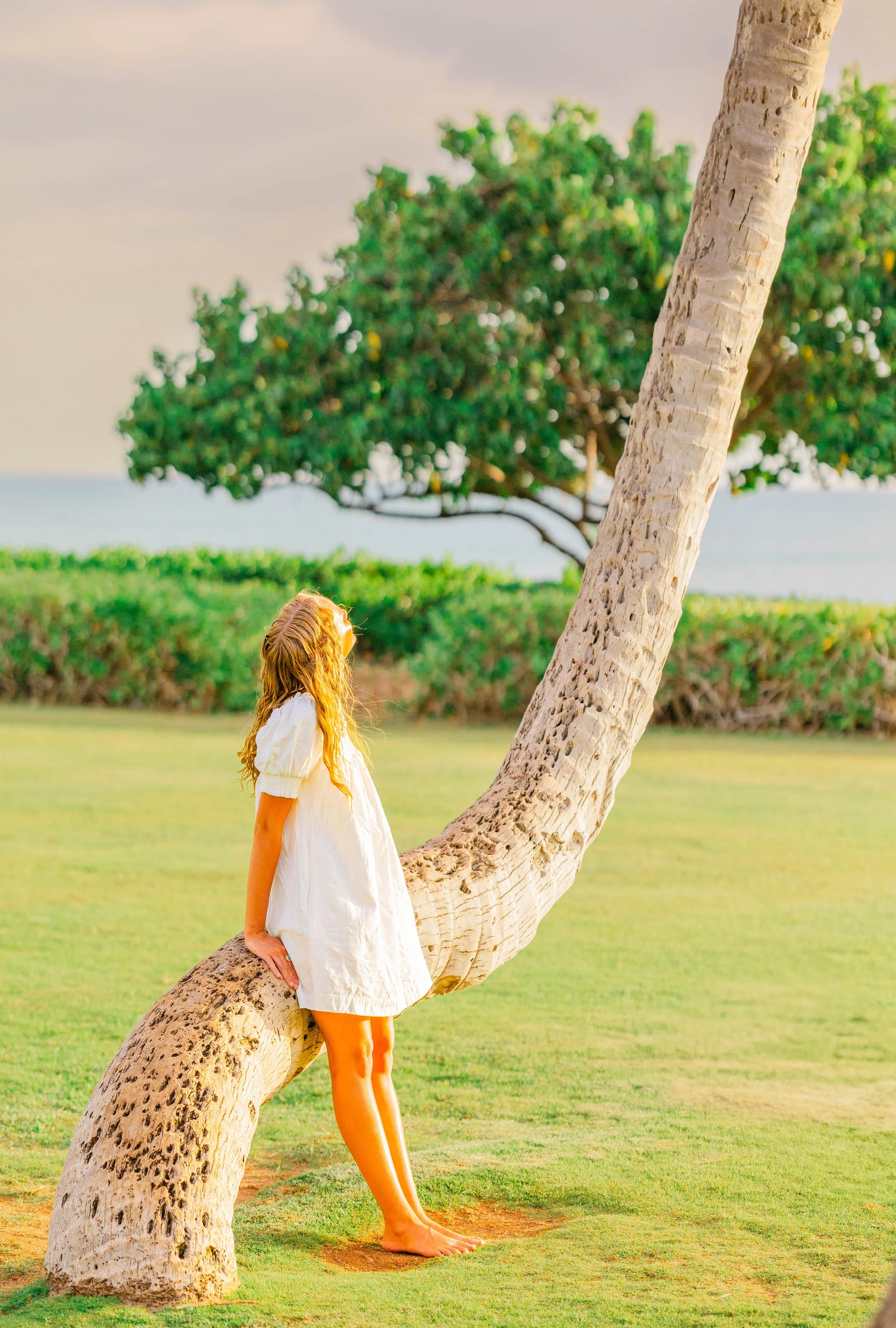 Senior Portfolio Oahu, Hawaii