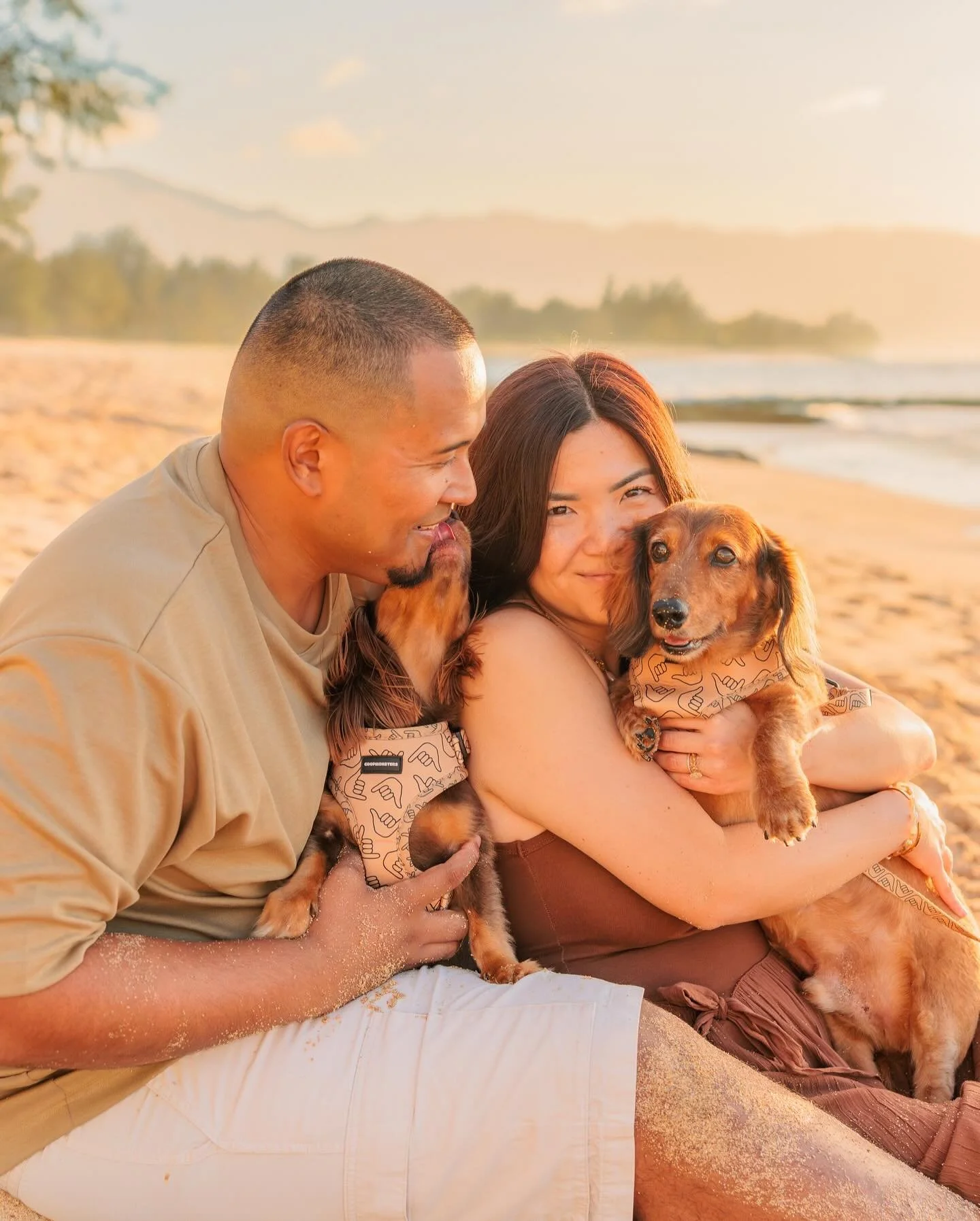 I’m absolutely PAWsitively in a puddle over these. My dog mom heart was exploding this whole shoot. 
We had a little drizzle, a rainbow, and a stunning sunset. Nothing less for this incredible family. 🌈🐾💛
#oahudogphotographer #oahufamilyph