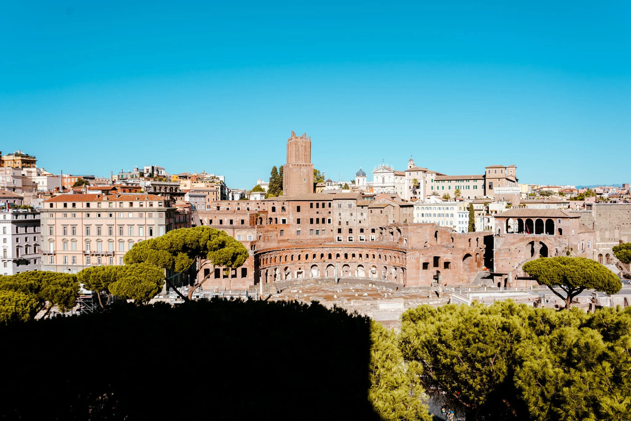 DSC03355-2.jpg