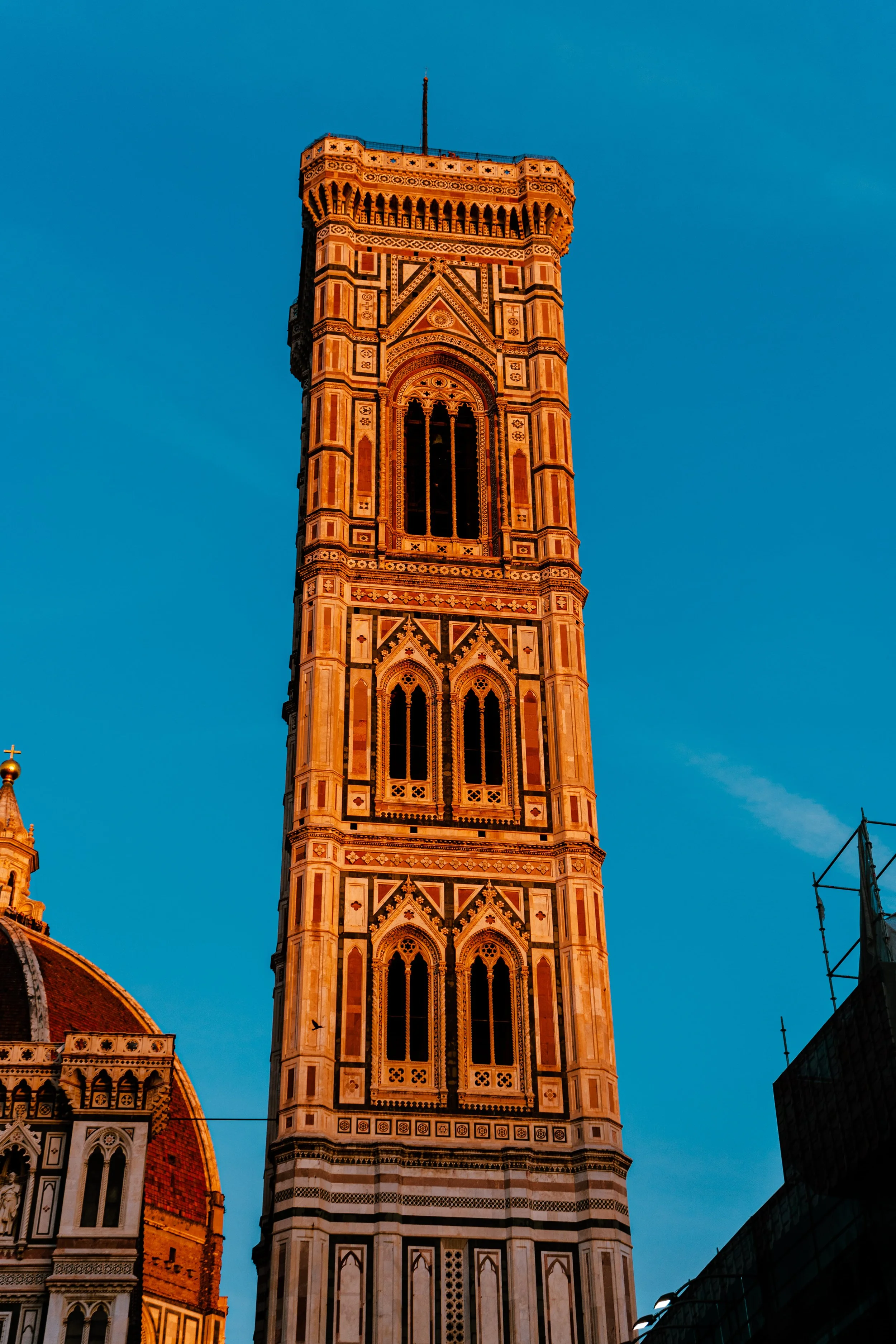 DSC05290.jpg