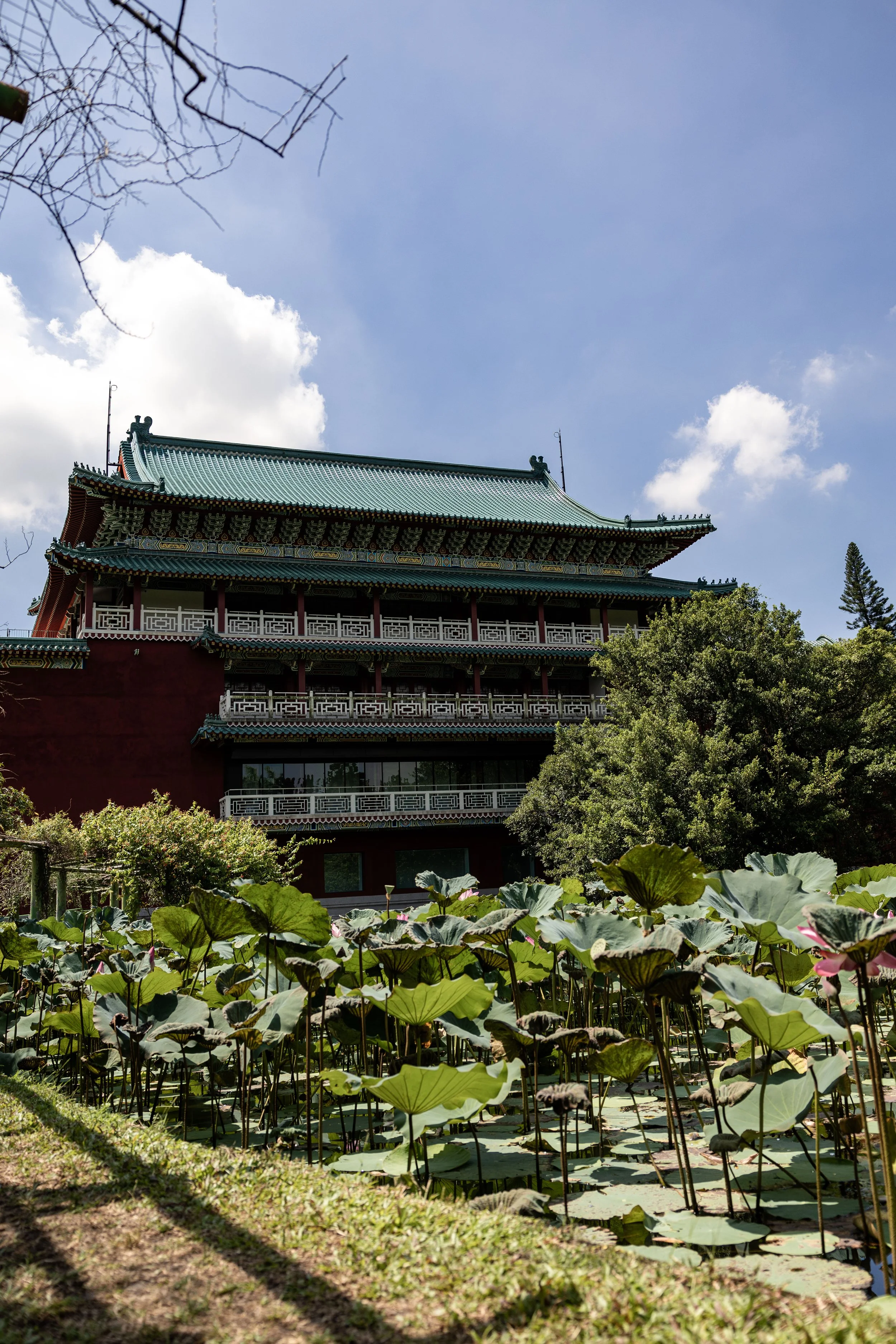Taiwan_2025_127.jpg