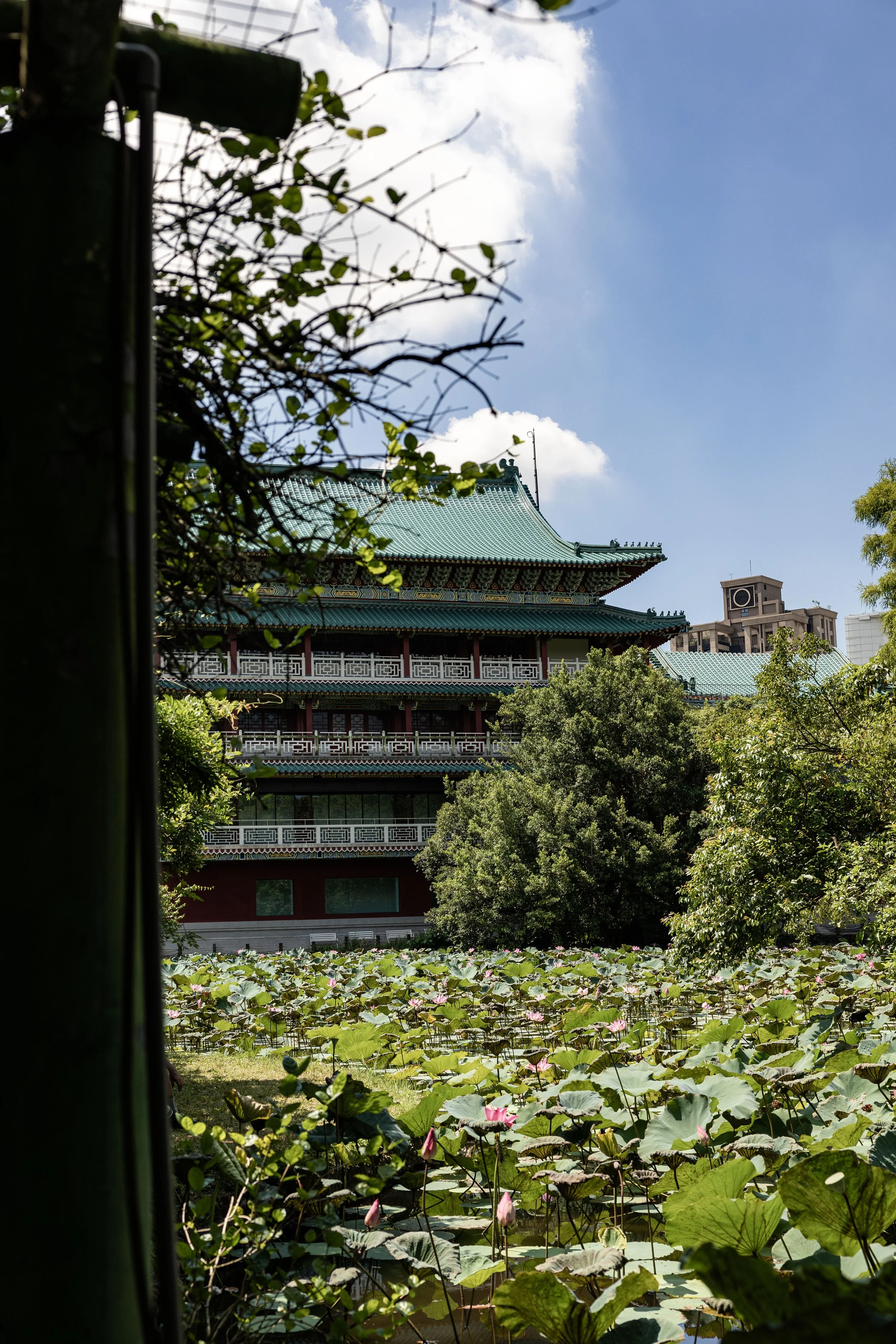 Taiwan_2025_122.jpg