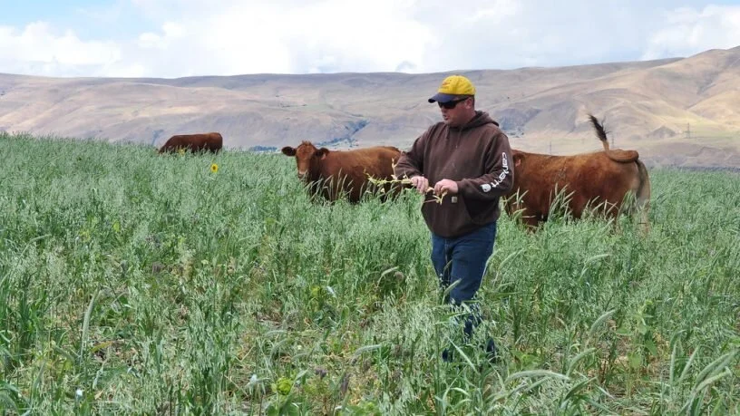 Bushfire Recovery Efforts