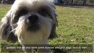 A Better Life Animal Sanctuary
