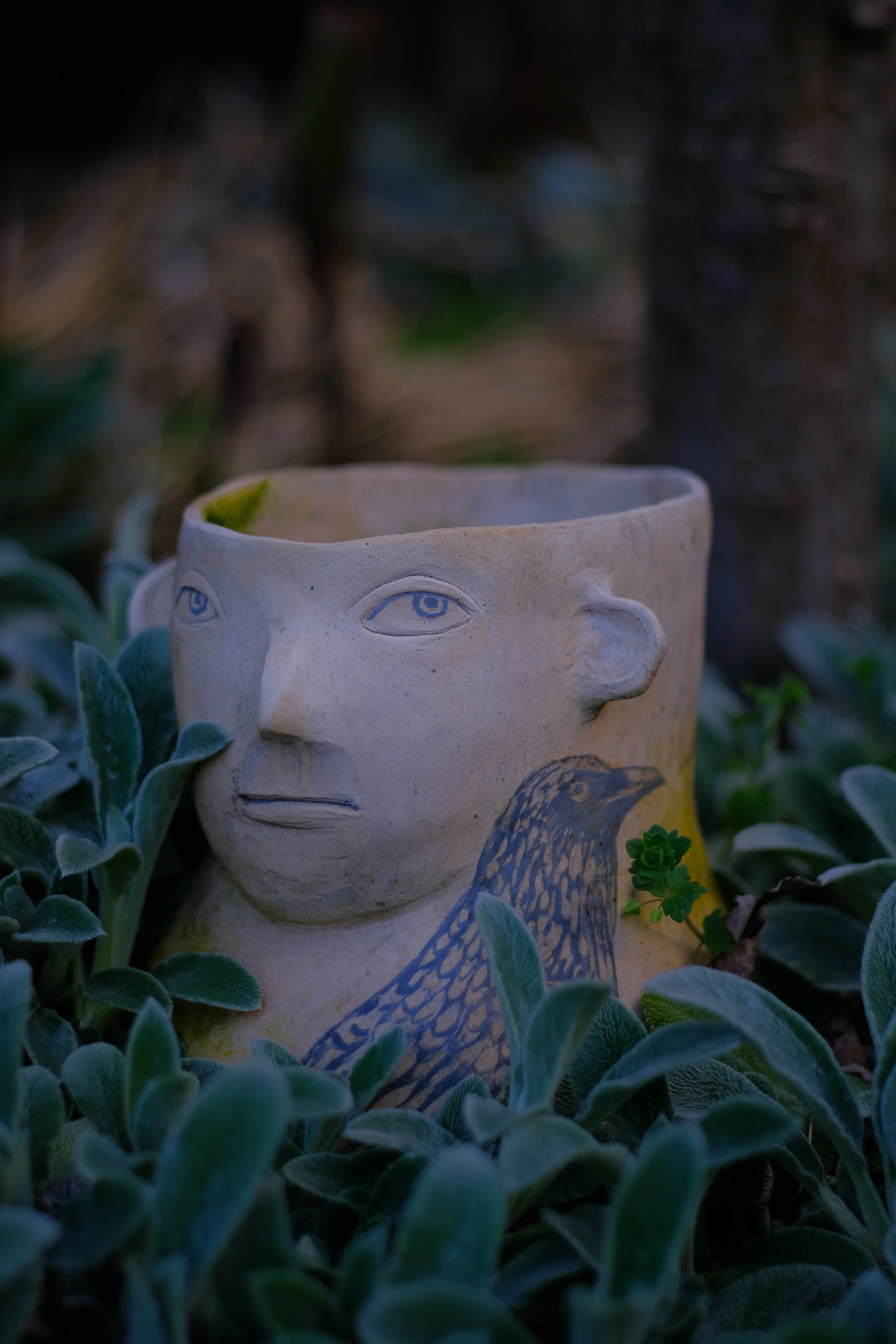 DSCF3772.JPG