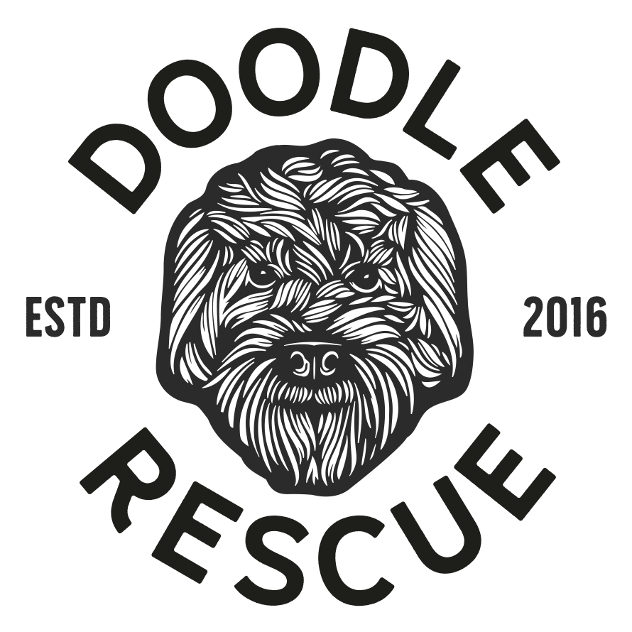 Doodle Rescue