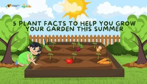 5 Plant Facts to Help You Grow Your Own Garden this Summer