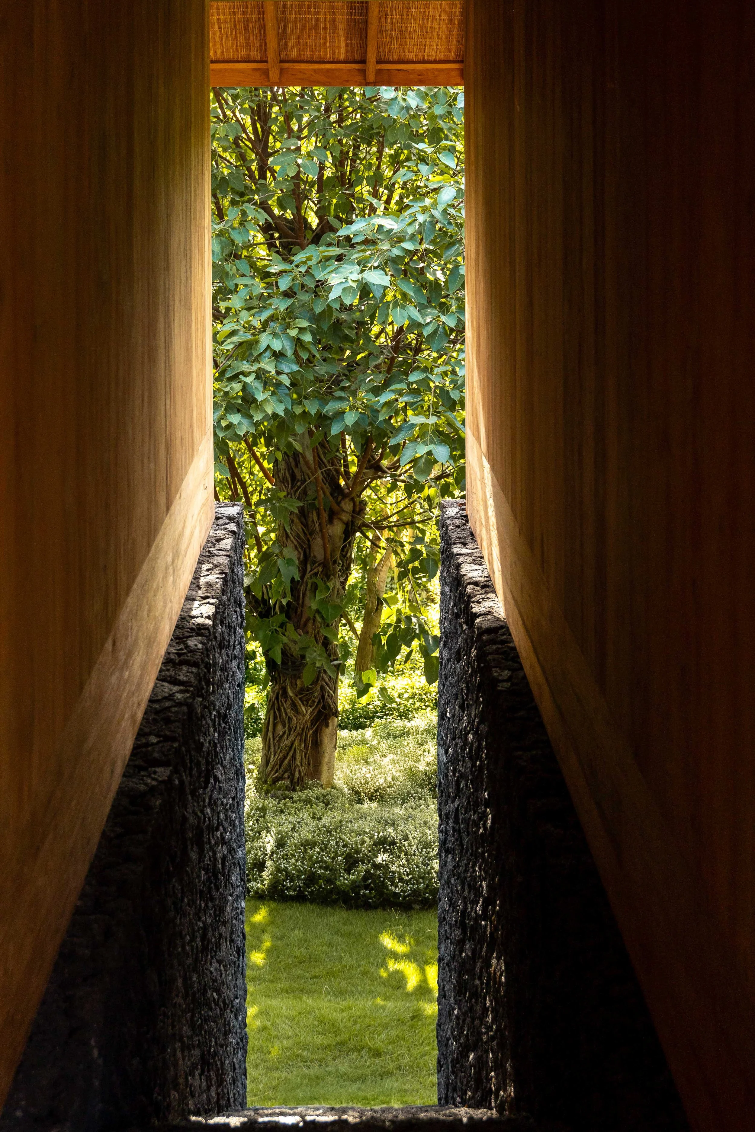 Maison Kitsuné-31.jpg