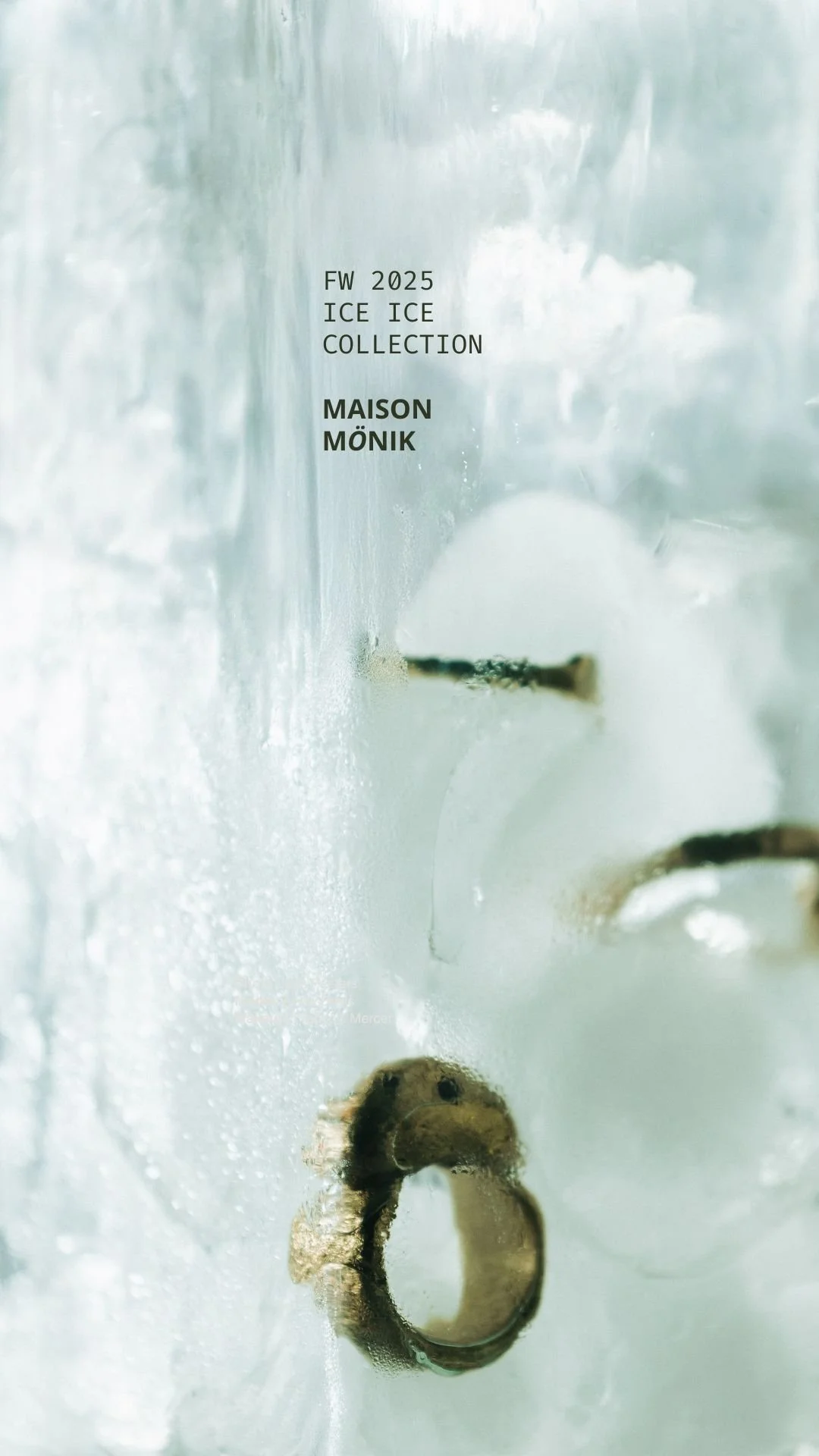 Maison Mönik 1.jpg