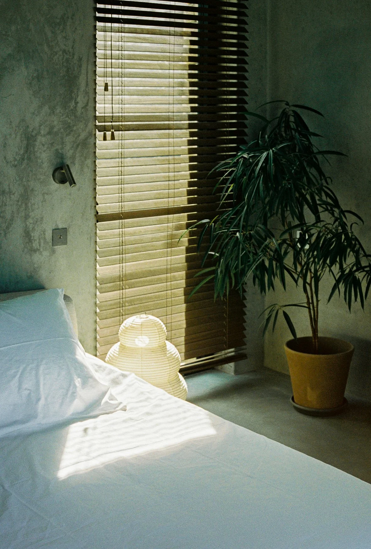 Portra 400-7.jpg