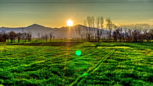 fees-and-rebates-sunrise-clinical-psychology