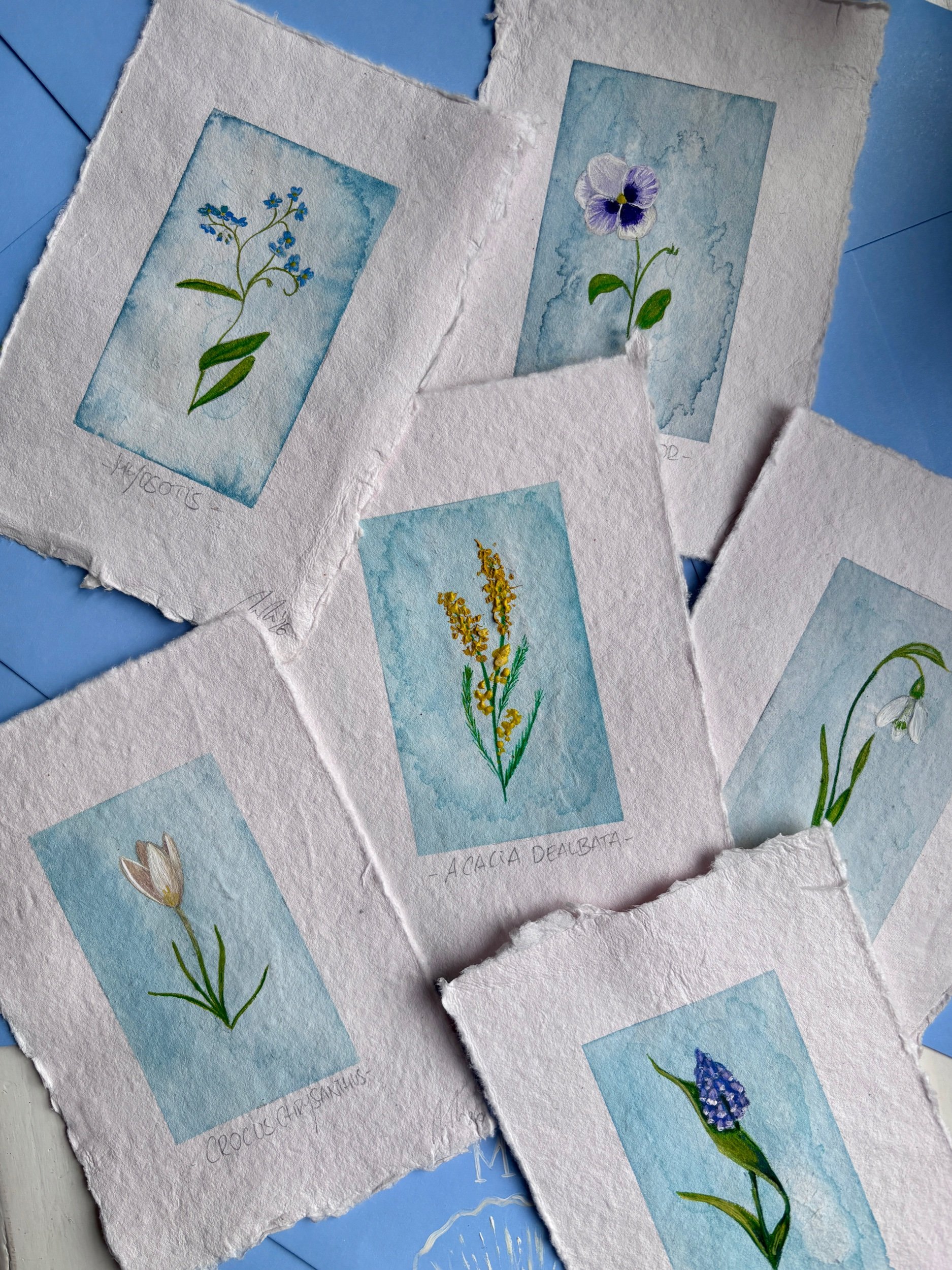 SNAIL MAIL „Printemps“