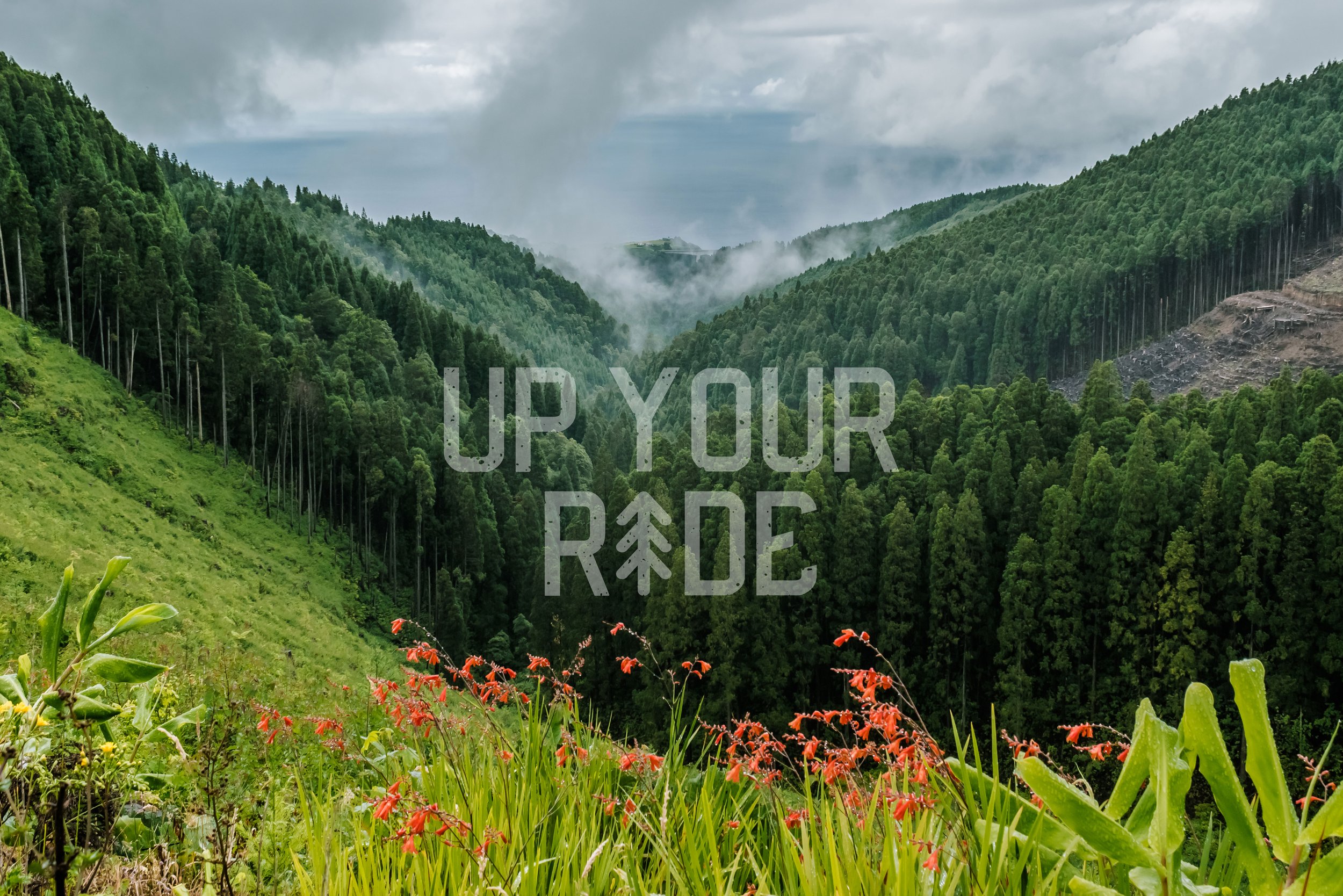 A lush, green valley surrounded by forested mountains under a cloudy sky with fog, and orange flowers in the foreground. Overlaid text reads 'UP YOUR RIDE' with a tree icon replacing the letter 'I'.
