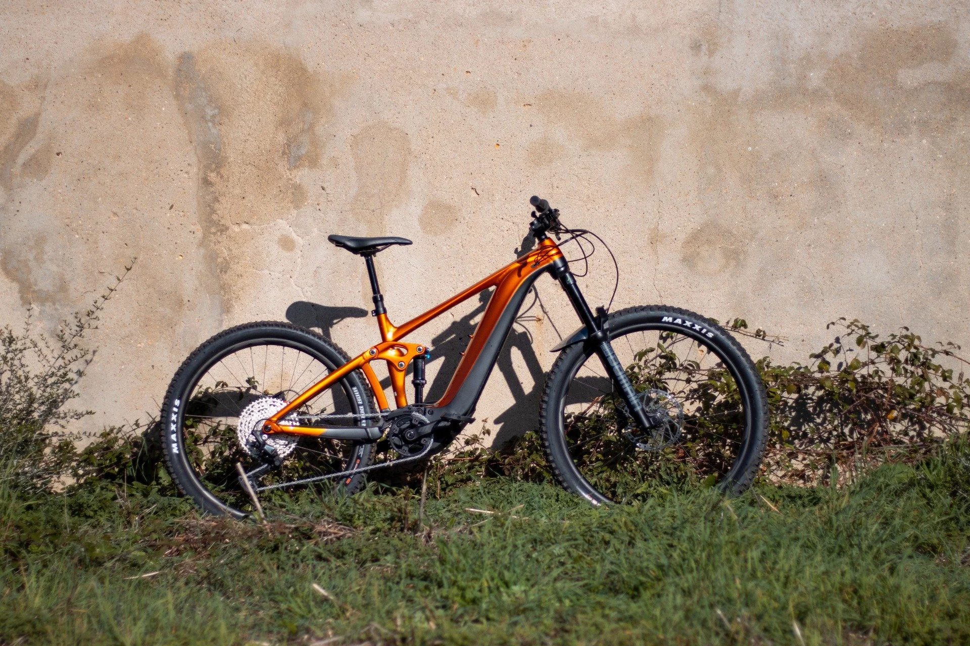 WhatsApp Image 2021-12-02 at 19.27.08.jpeg