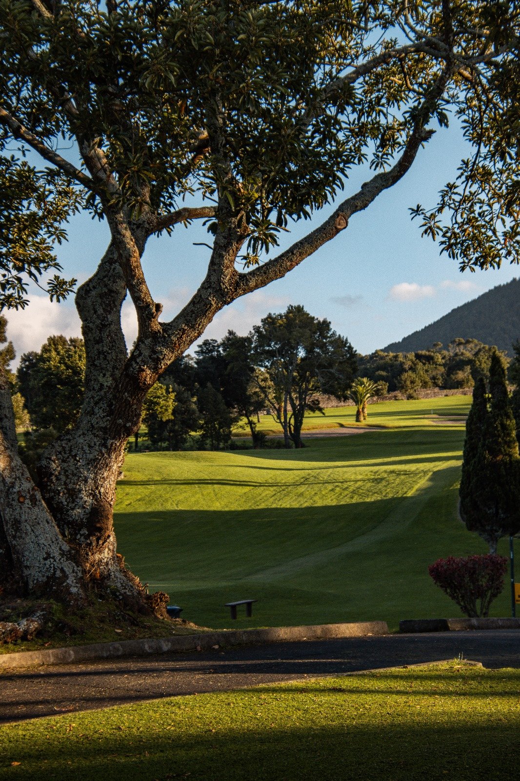 A lush, green golf course with trees and a mountain in the background, under a blue sky with some clouds.